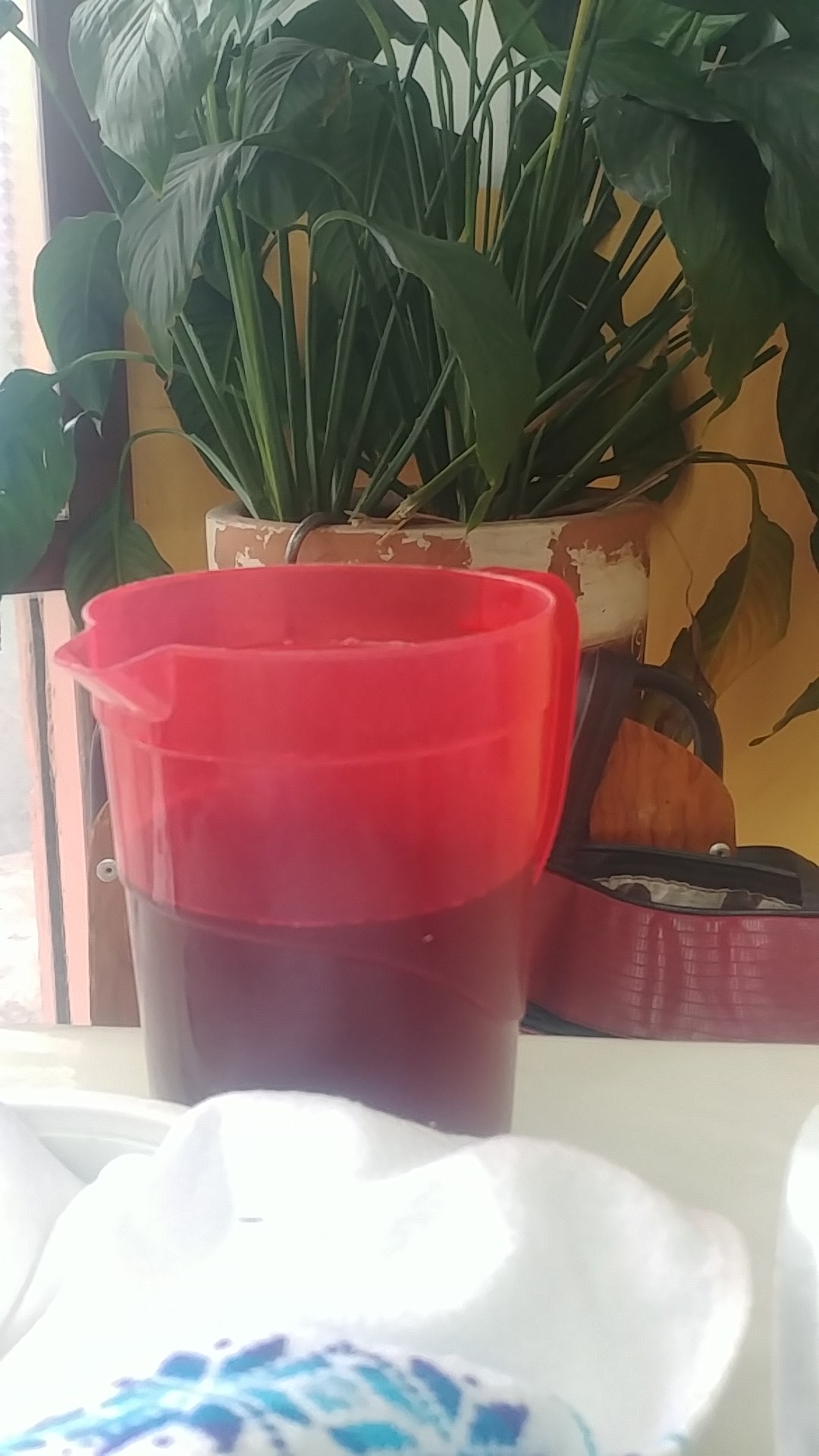 SUPER COCINA MARY image 10