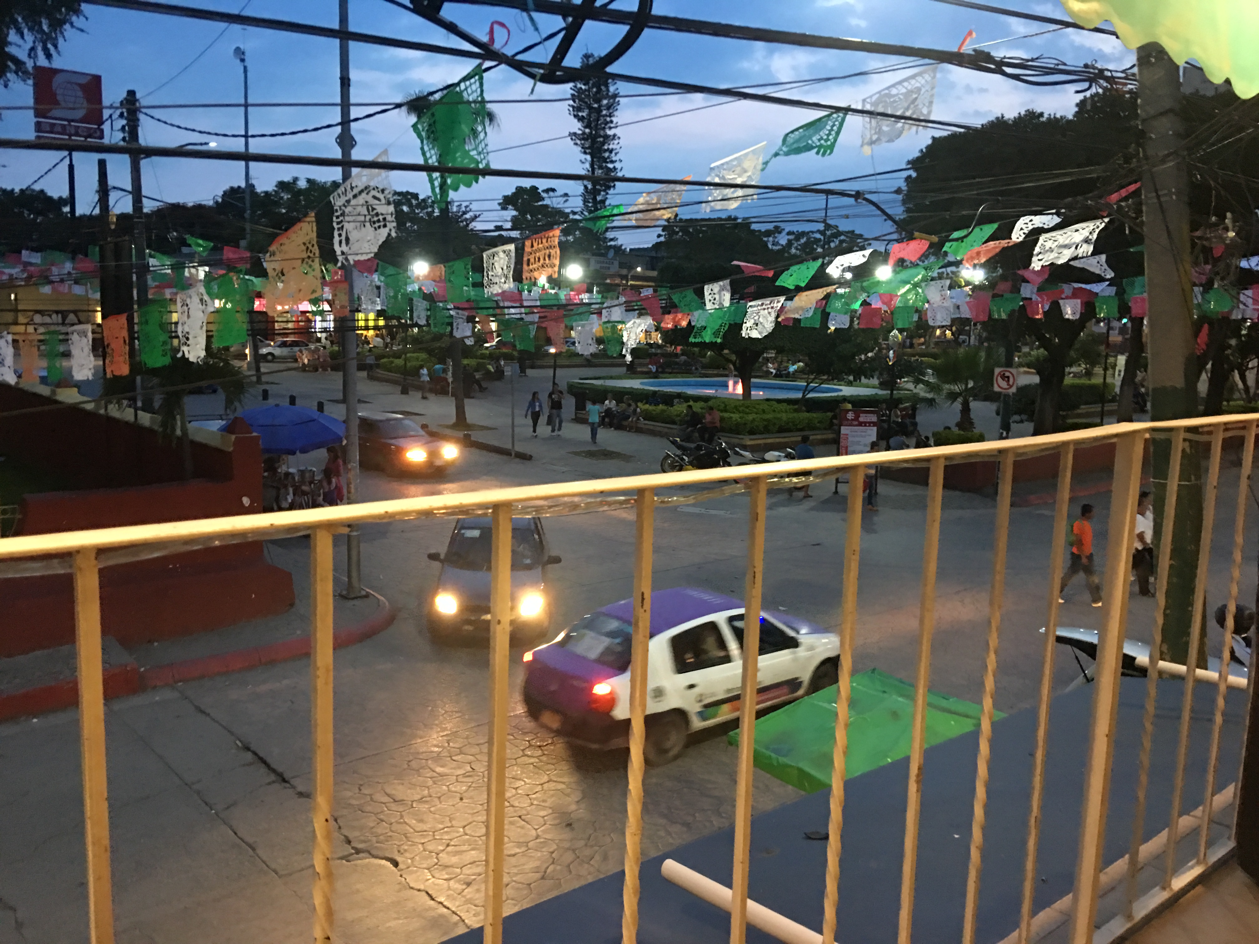 Semilla Turquesa image 7