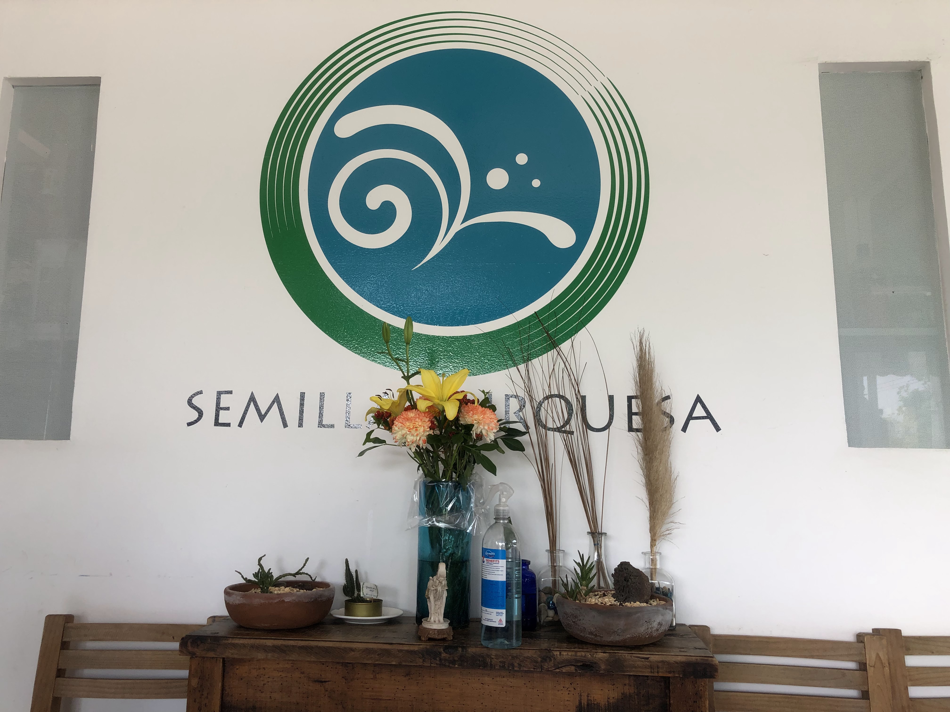 Semilla Turquesa image 10