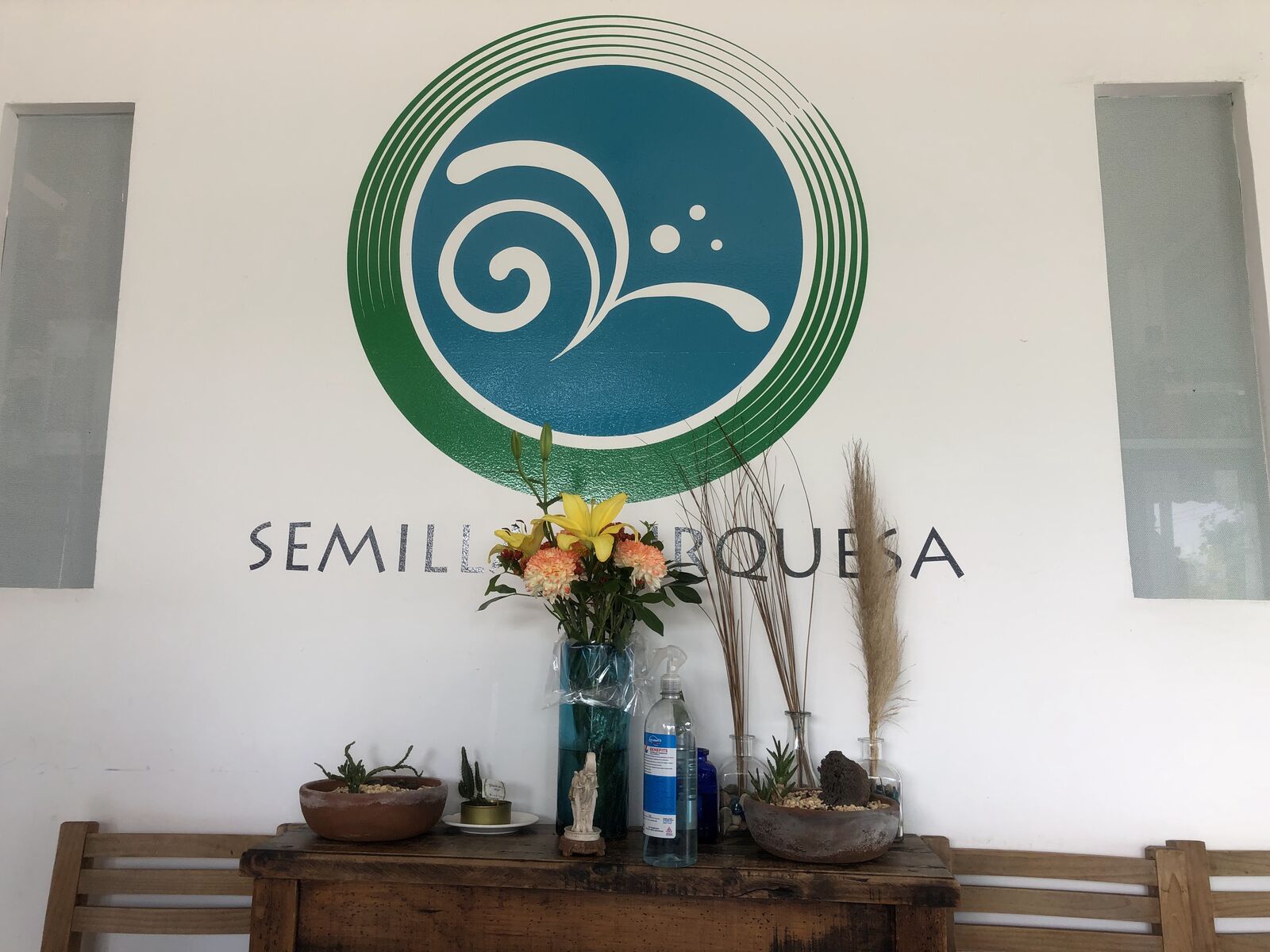 Semilla Turquesa image 10