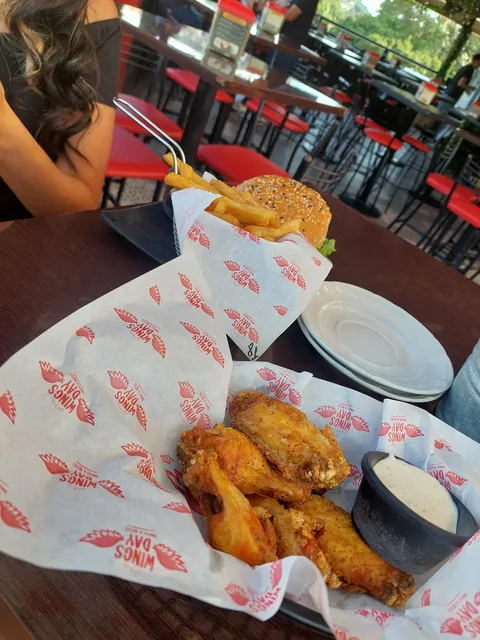 Wings Day image 7