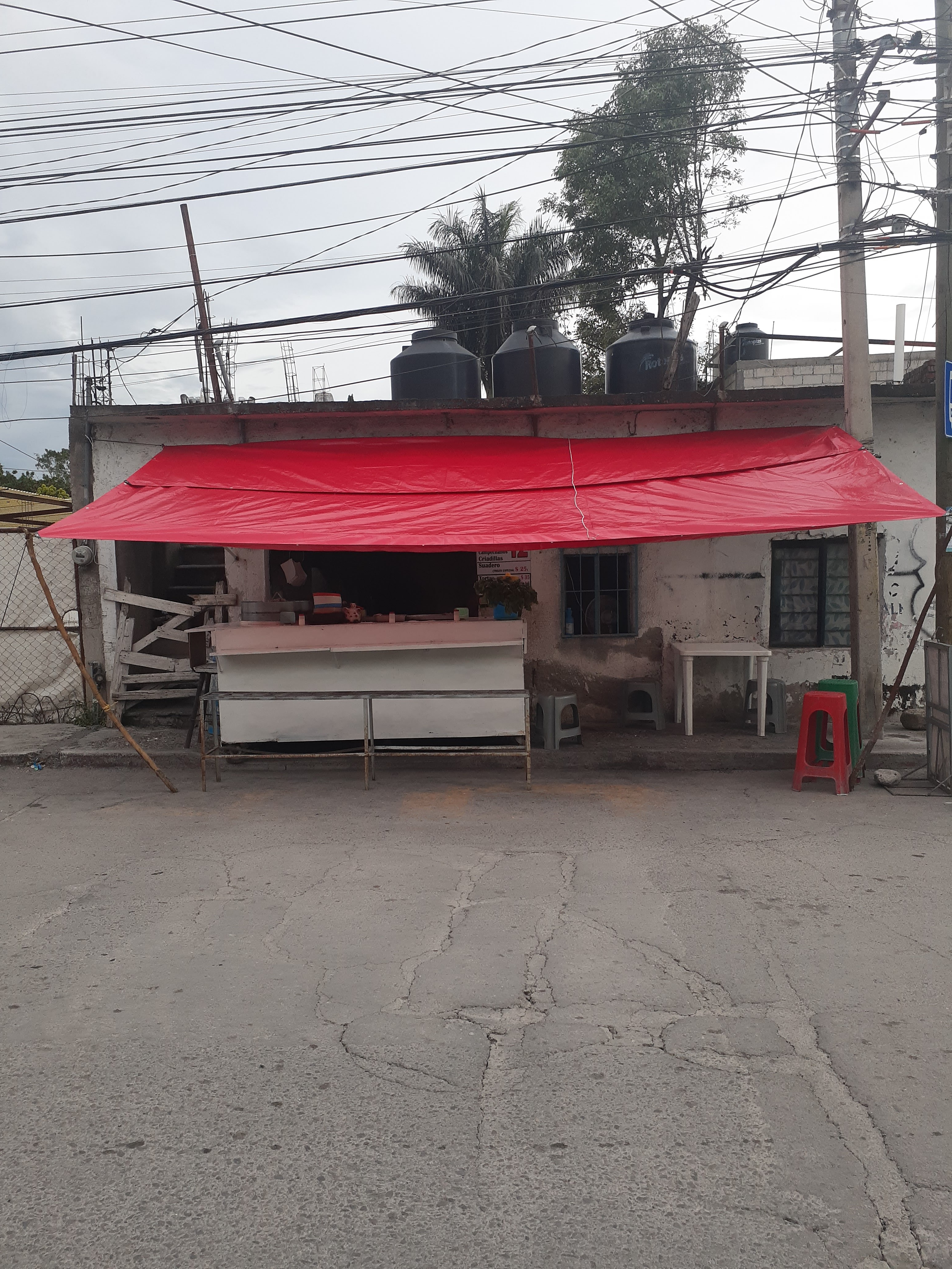 El Taco D "Oro" image 7