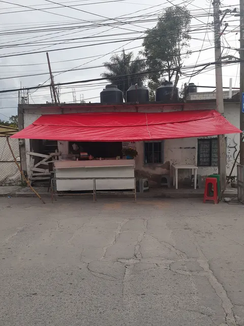 El Taco D "Oro" image 7