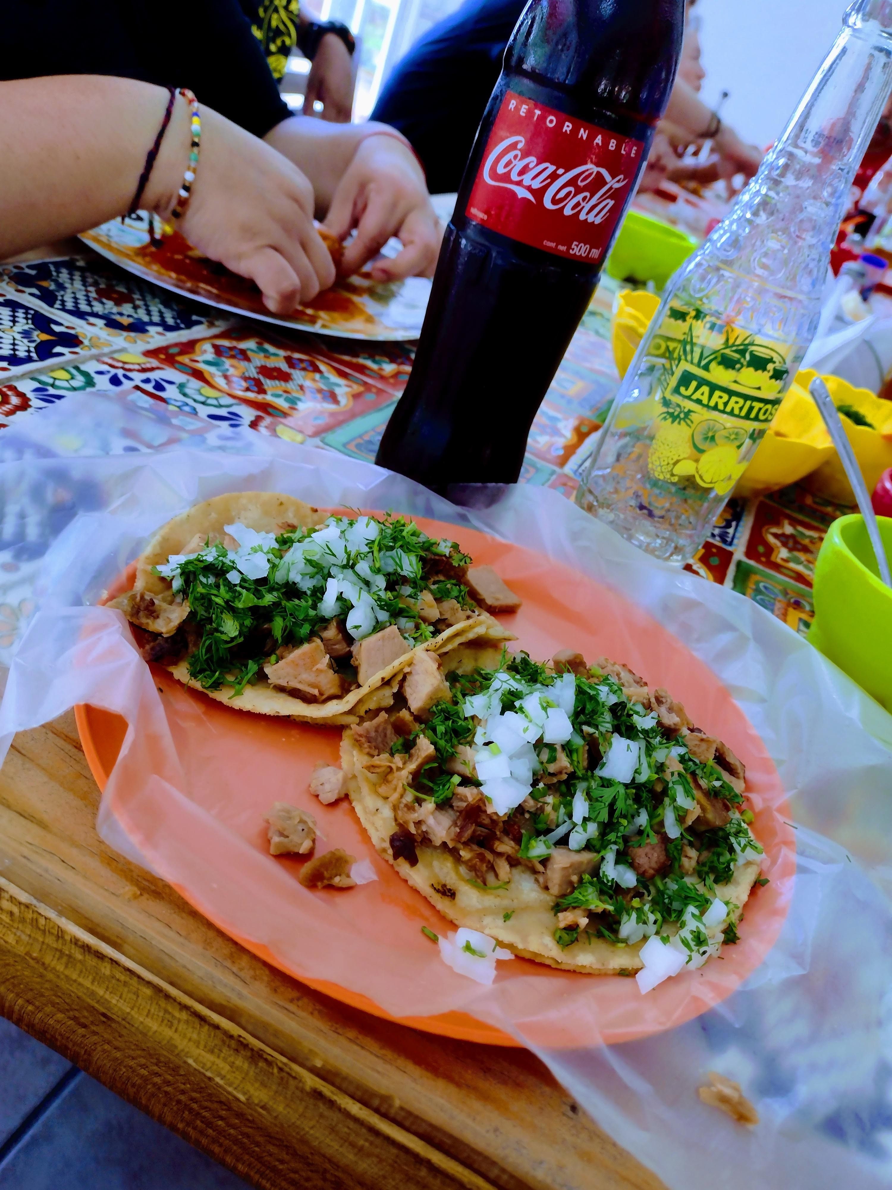 CARNITAS "CHIN-HO" image 2