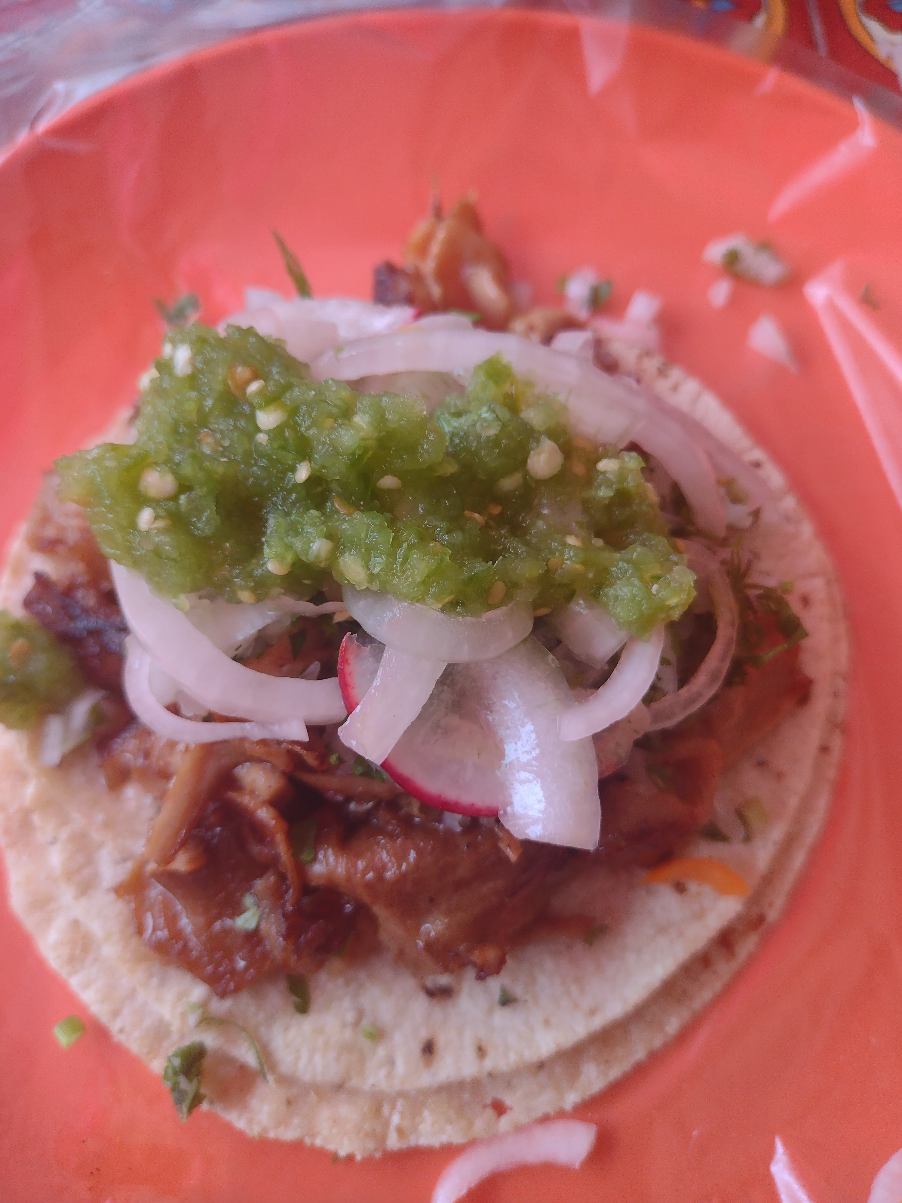 CARNITAS "CHIN-HO" image 7