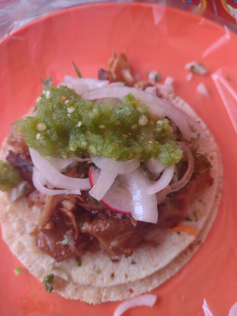 CARNITAS "CHIN-HO" image 7