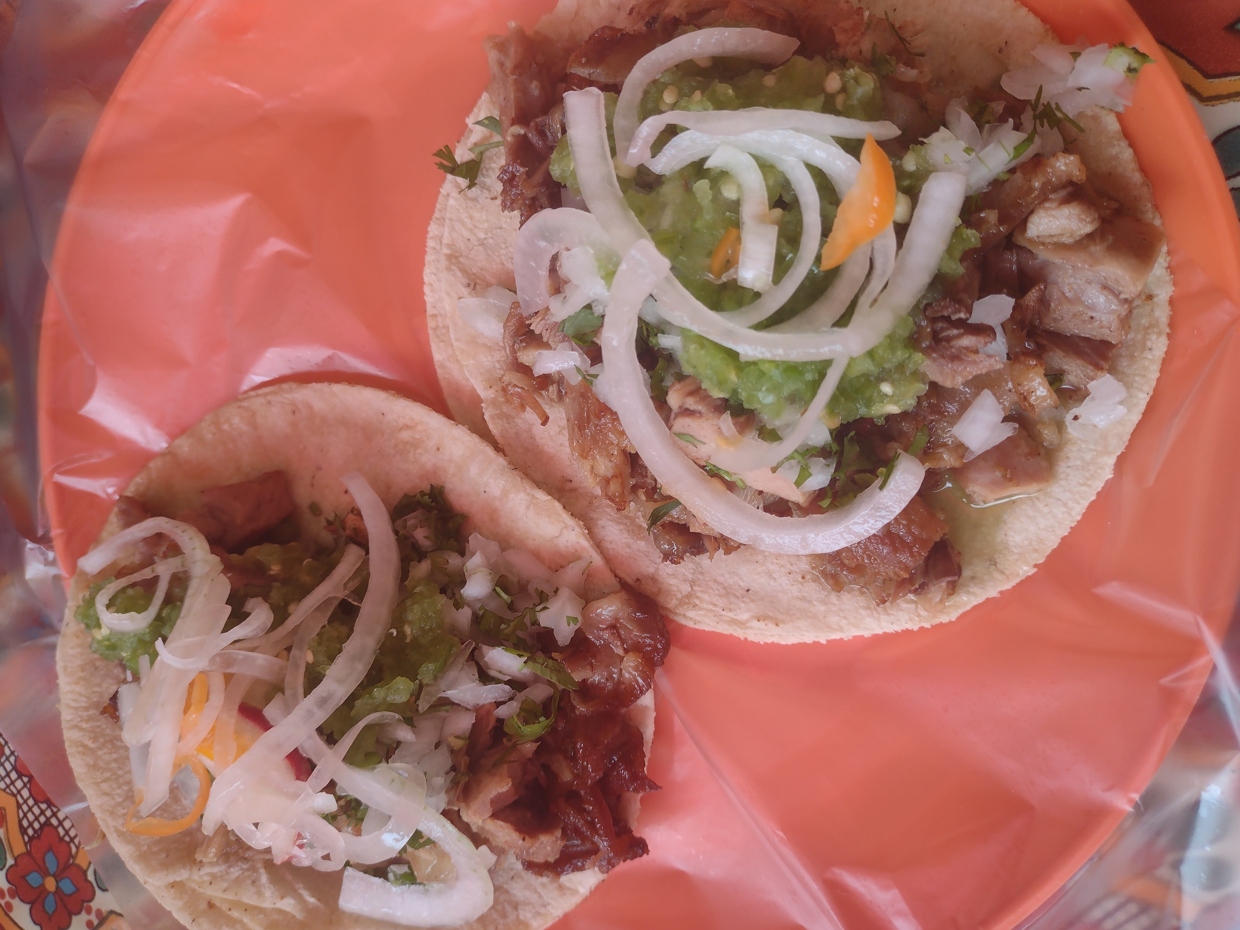 CARNITAS "CHIN-HO" image 8