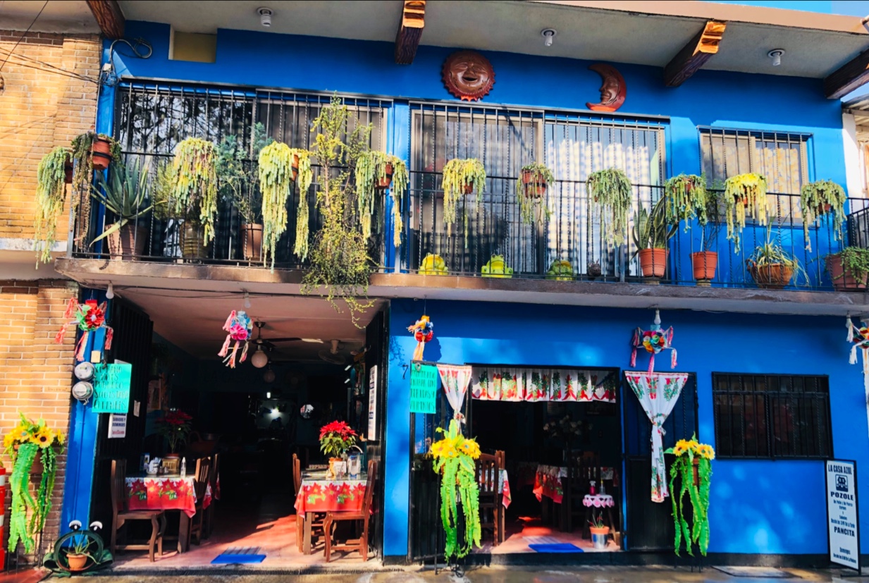 La Casa Azul image 1
