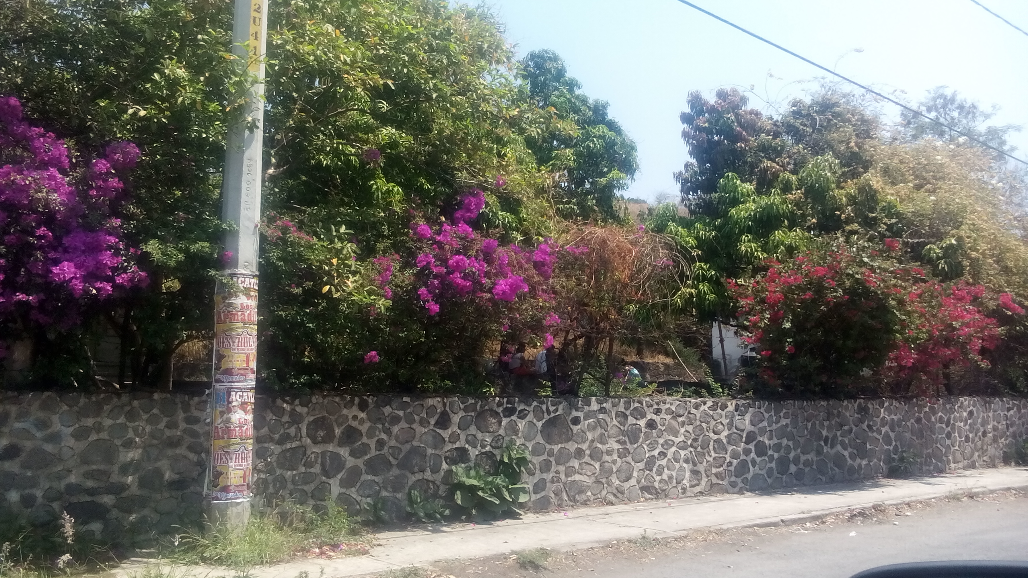 La Casa Azul image 5