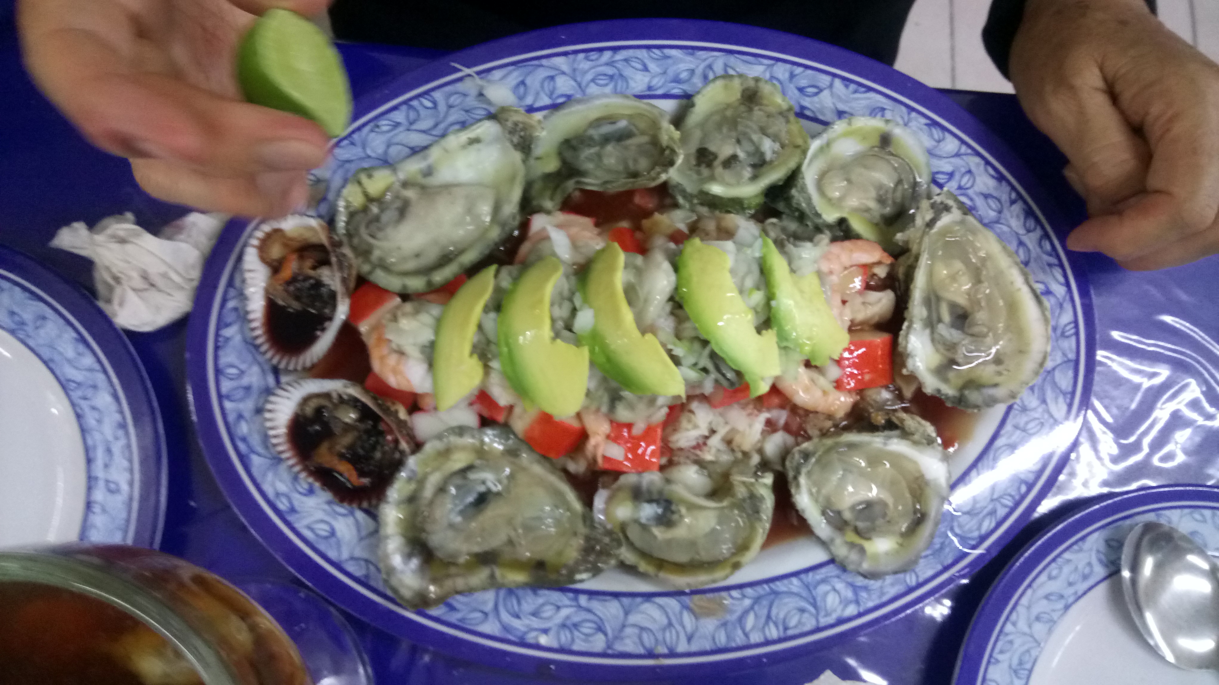 MARISCOS BRISA DEL MAR image 9