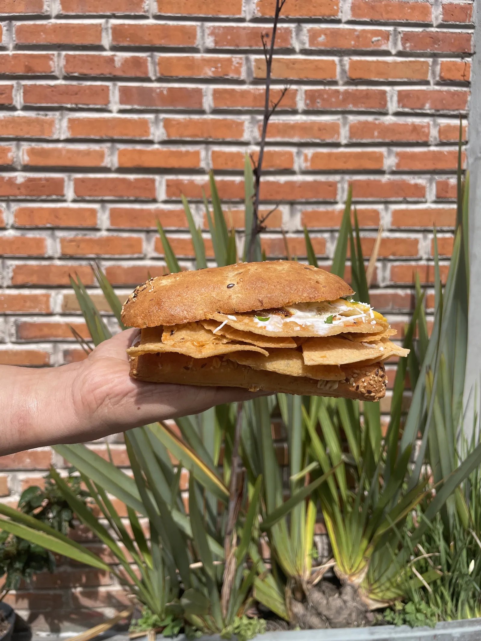 Mr. Panini image 4