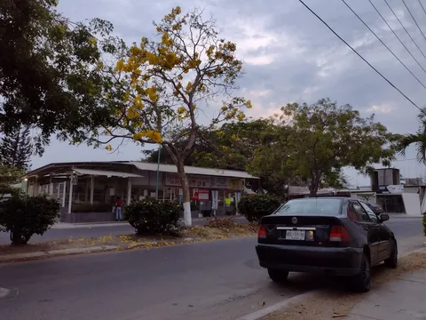 Tacolandia image 6