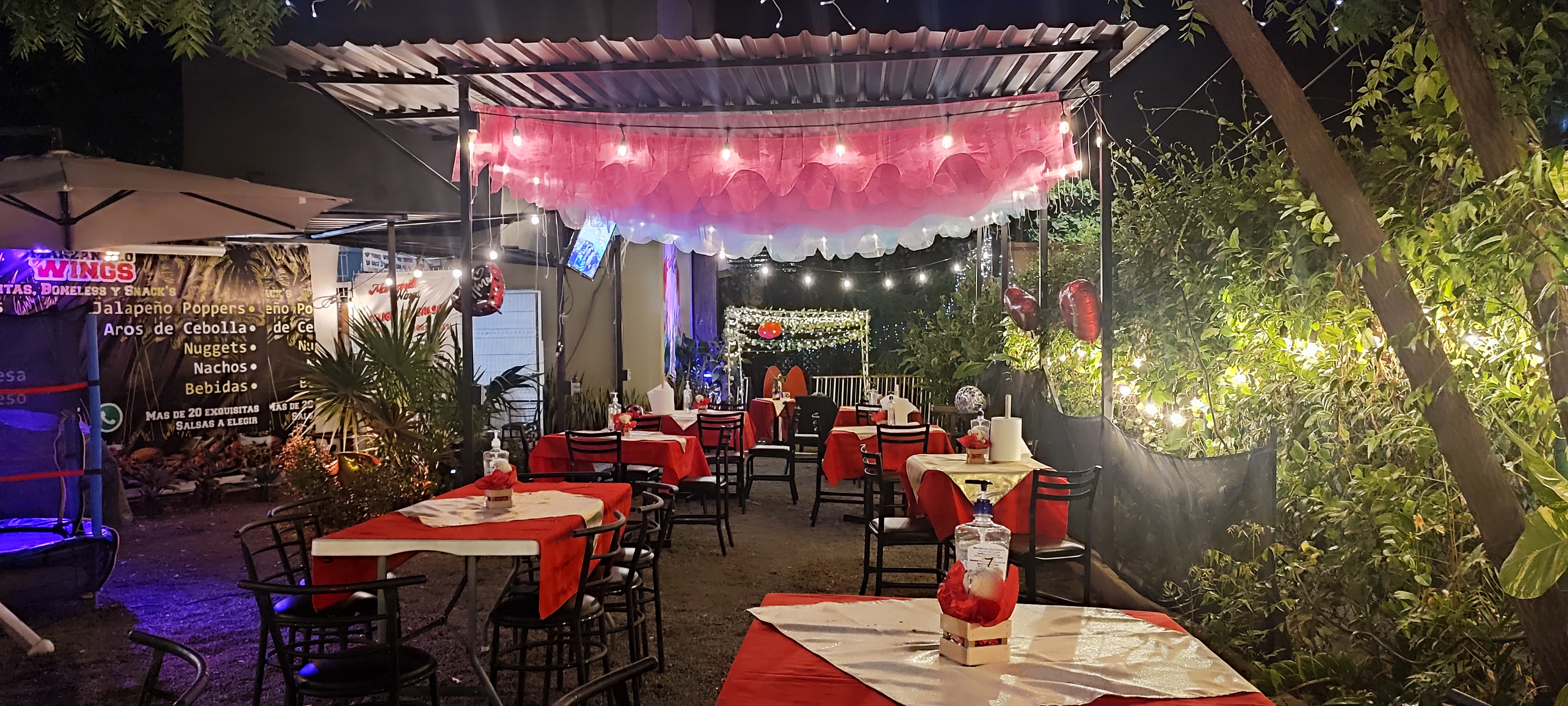 Manzanillo Wings image 1