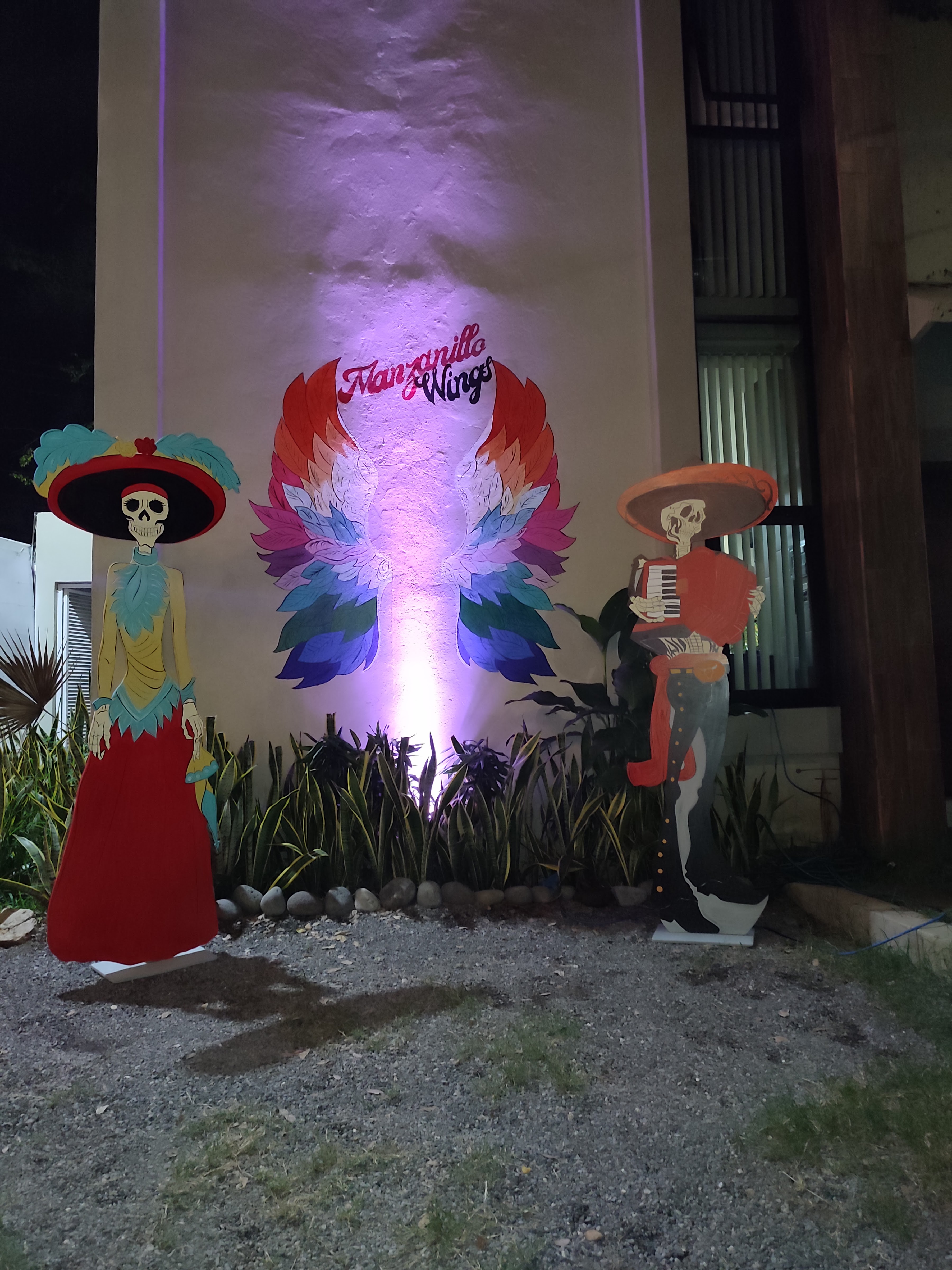 Manzanillo Wings image 6