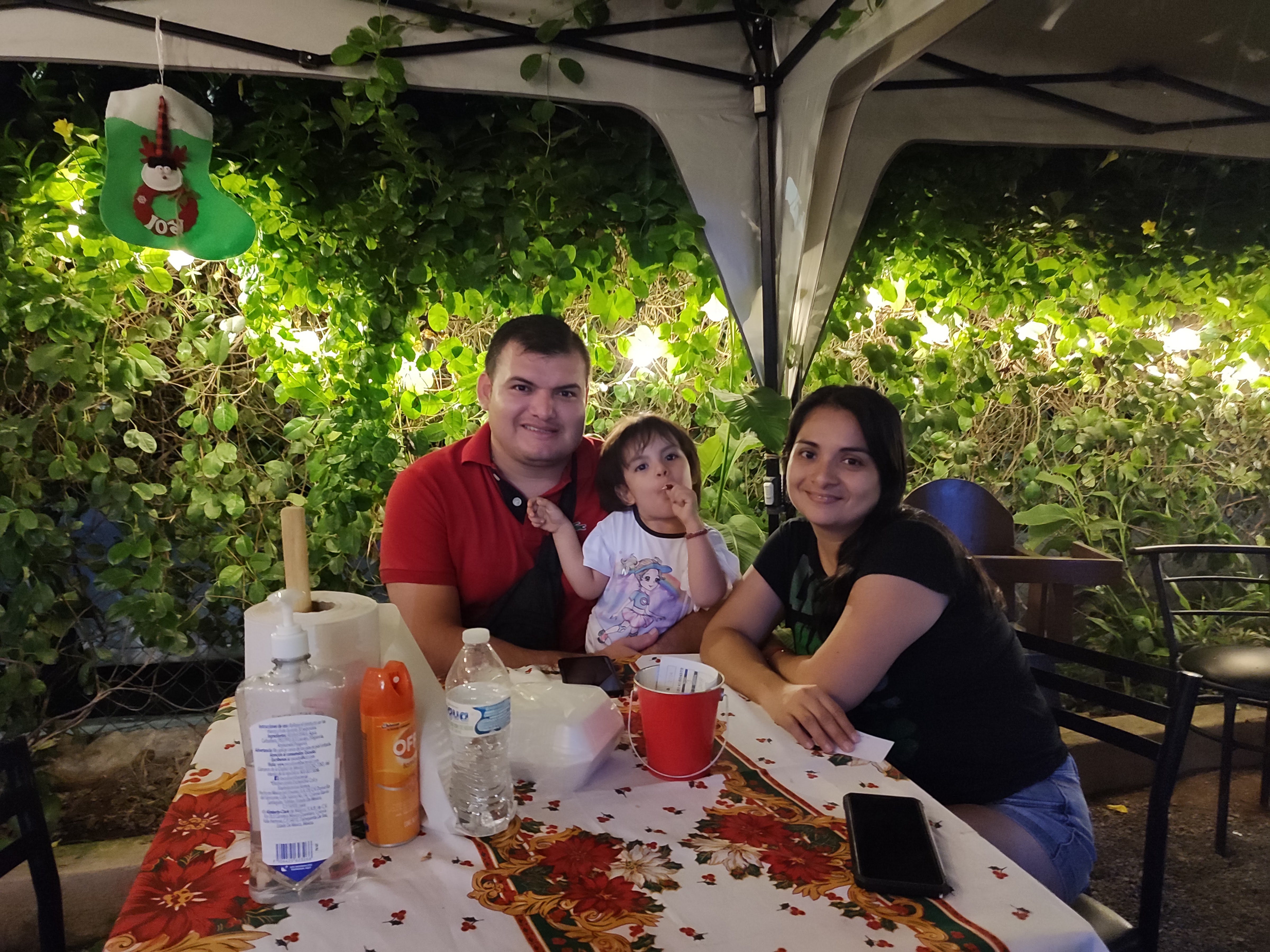 Manzanillo Wings image 8