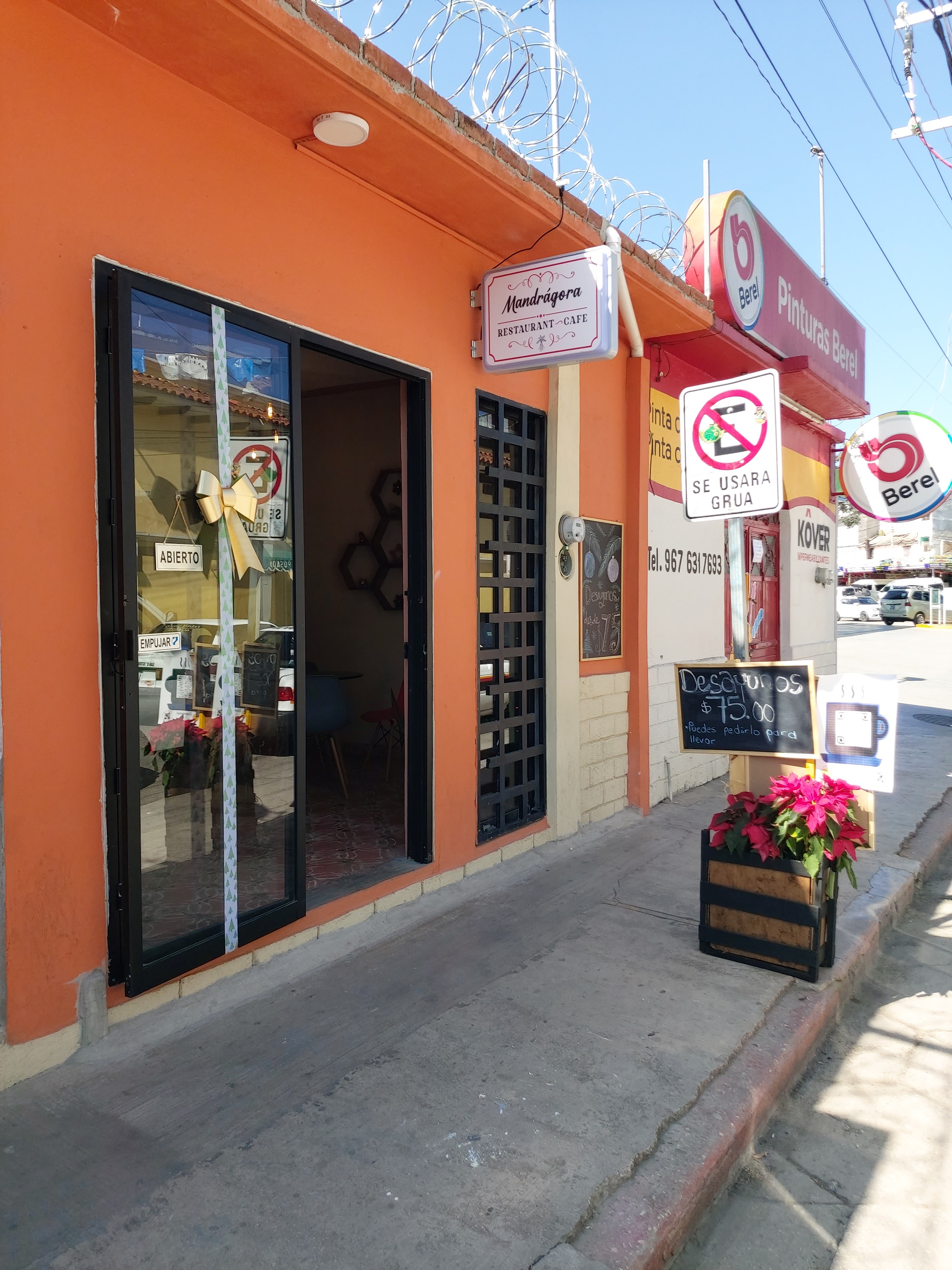 Mandragora Restaurante image 4