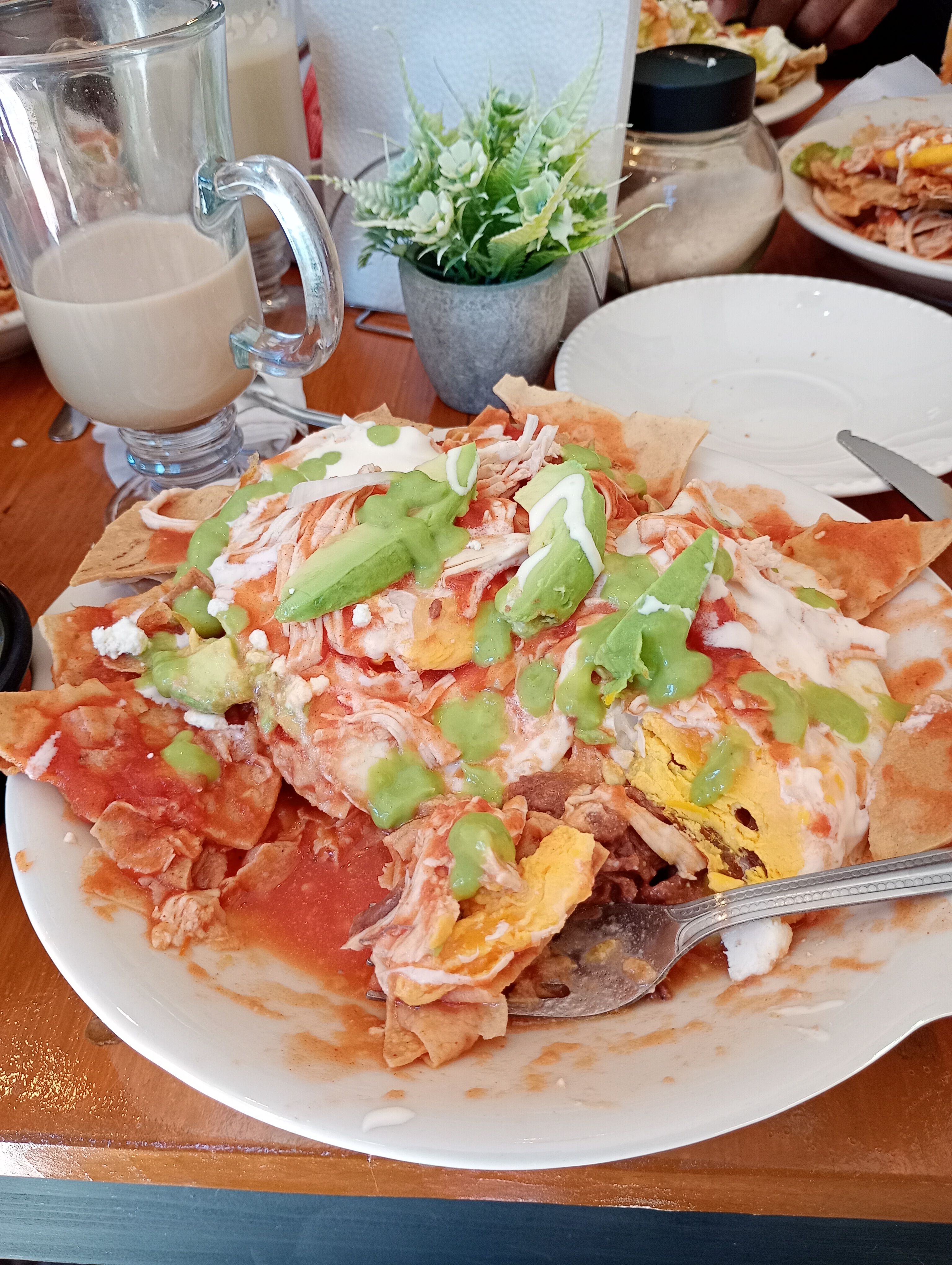 Mandragora Restaurante image 5