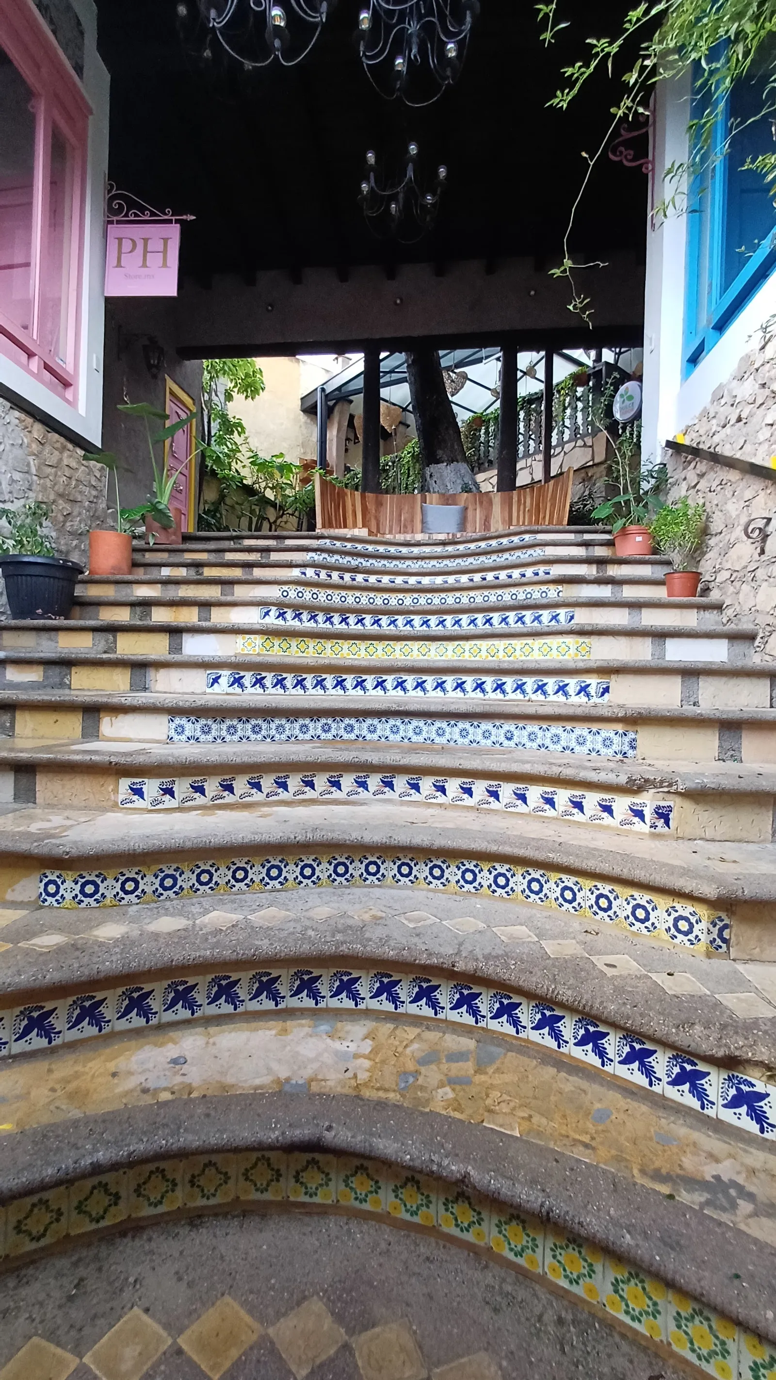 La Higuera image 10