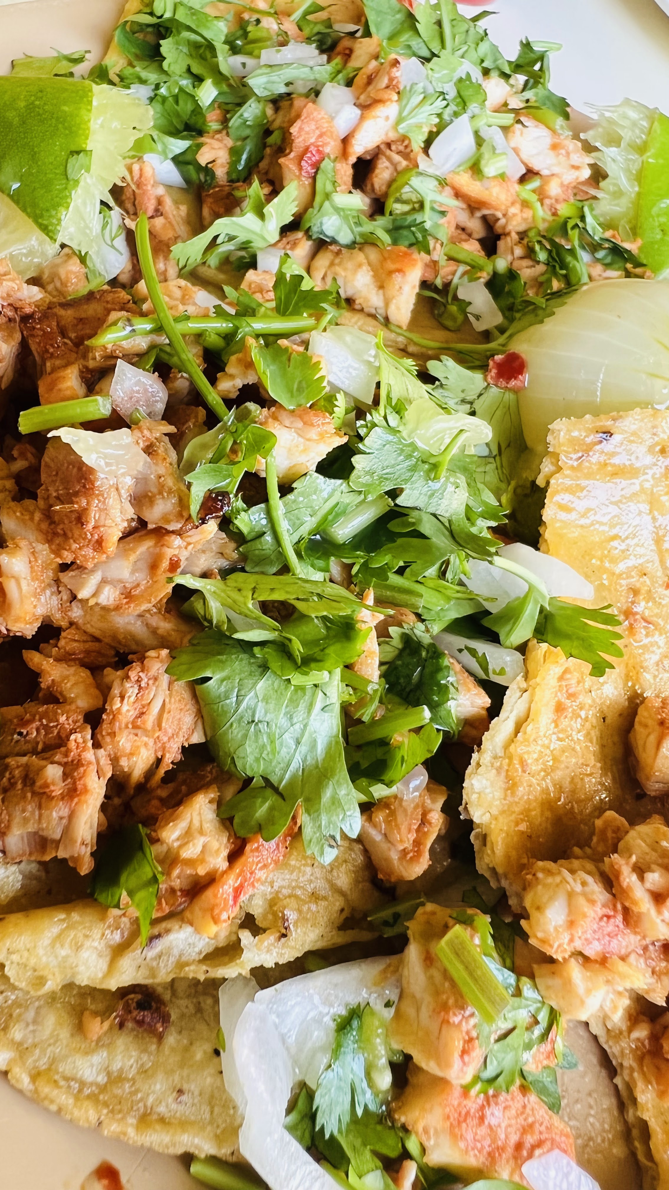 Taquería don Ciri image 3