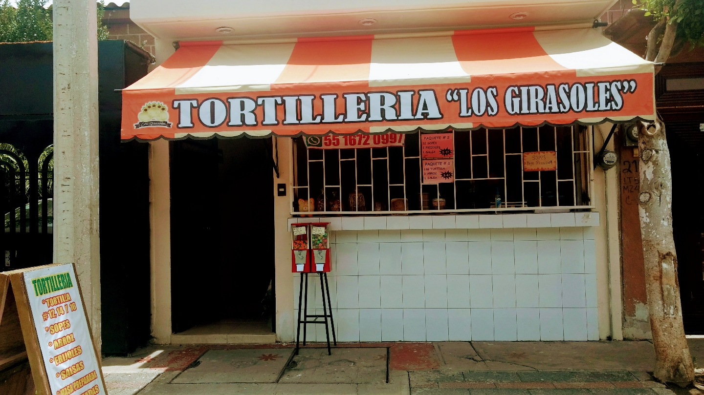 Tortillería los girasoles image 3