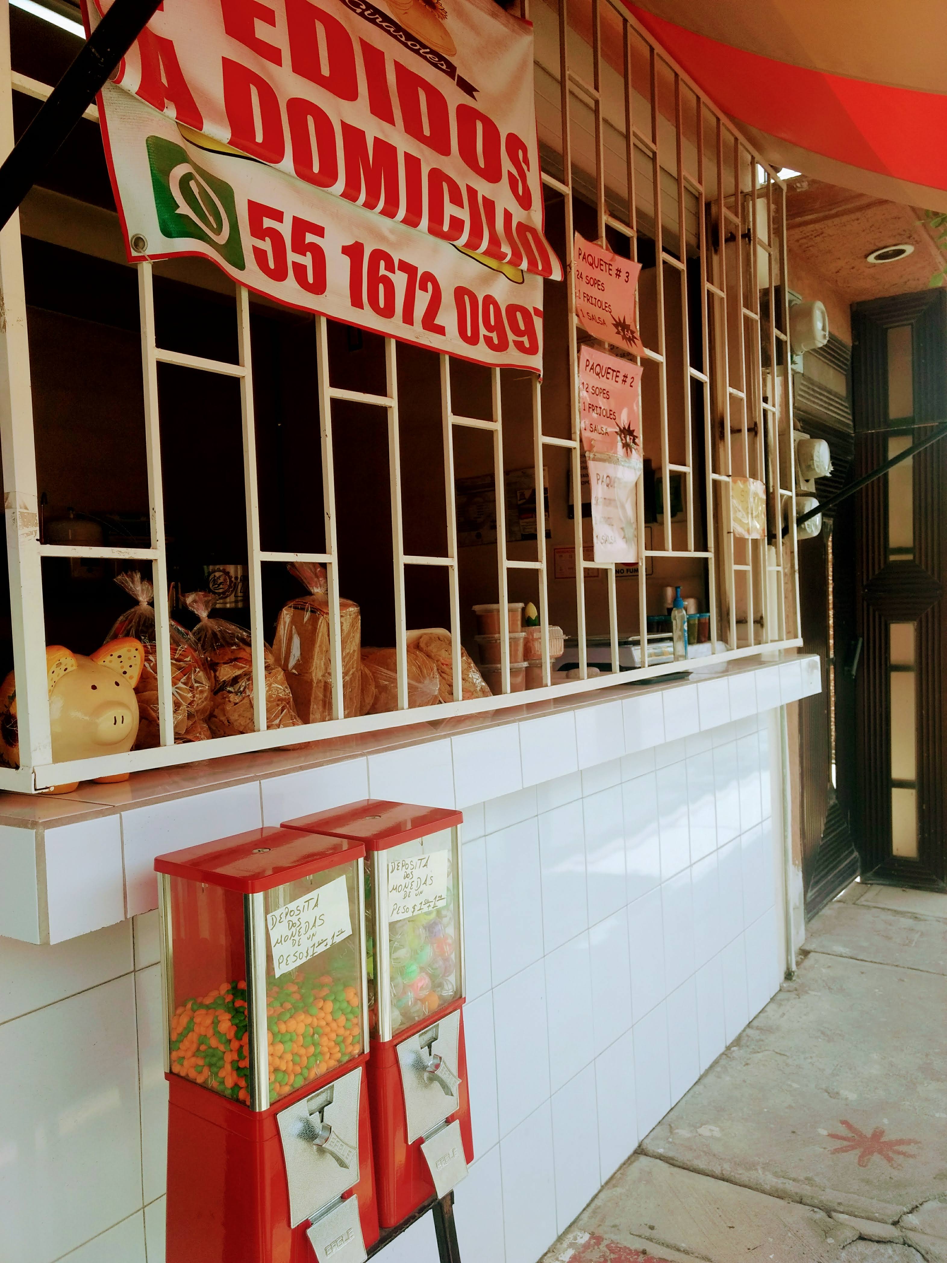 Tortillería los girasoles image 5