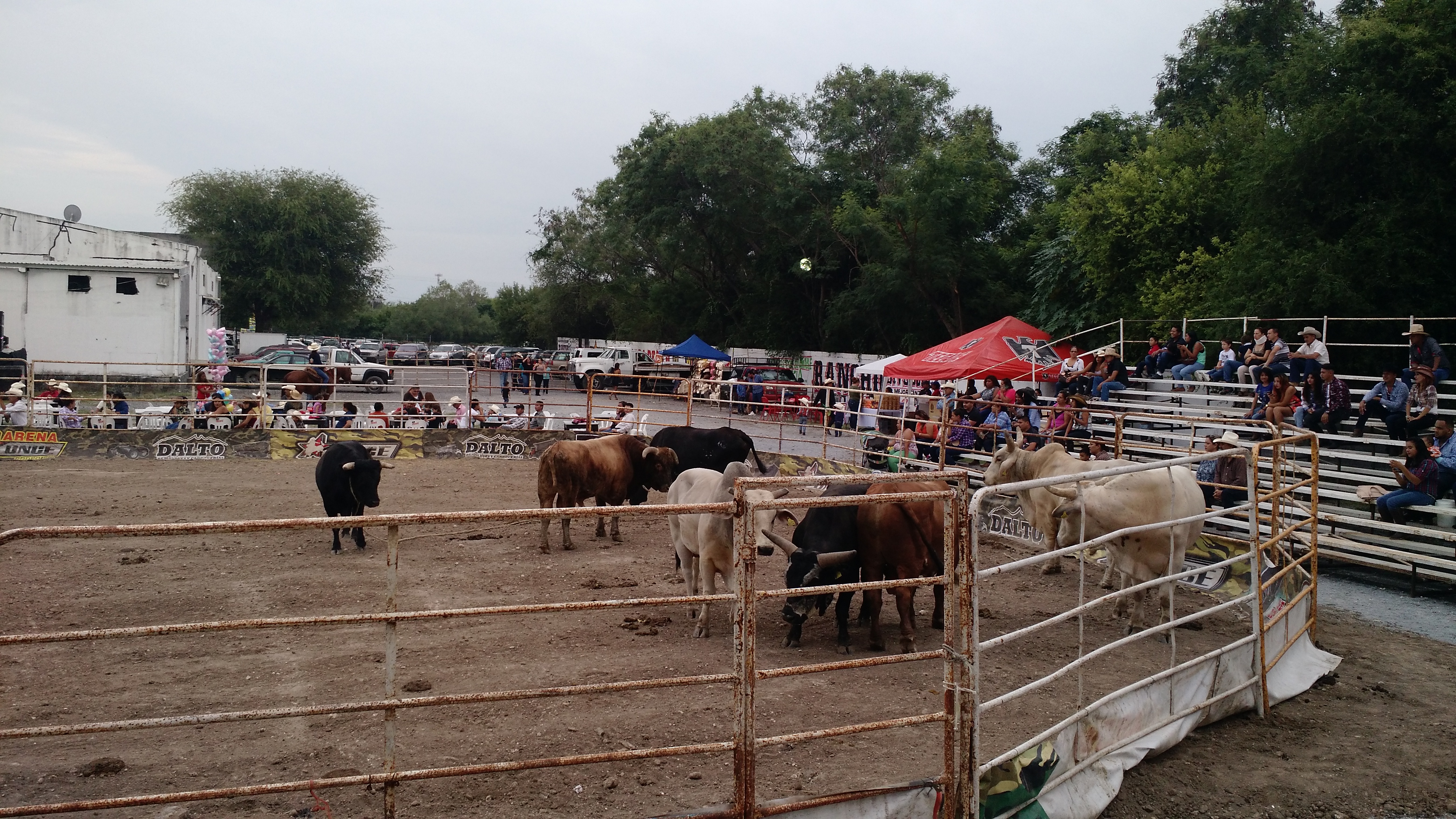 Rancho Live Concert image 4