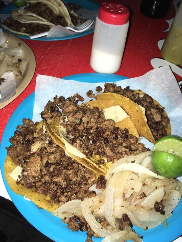 Chuy Canario image 8