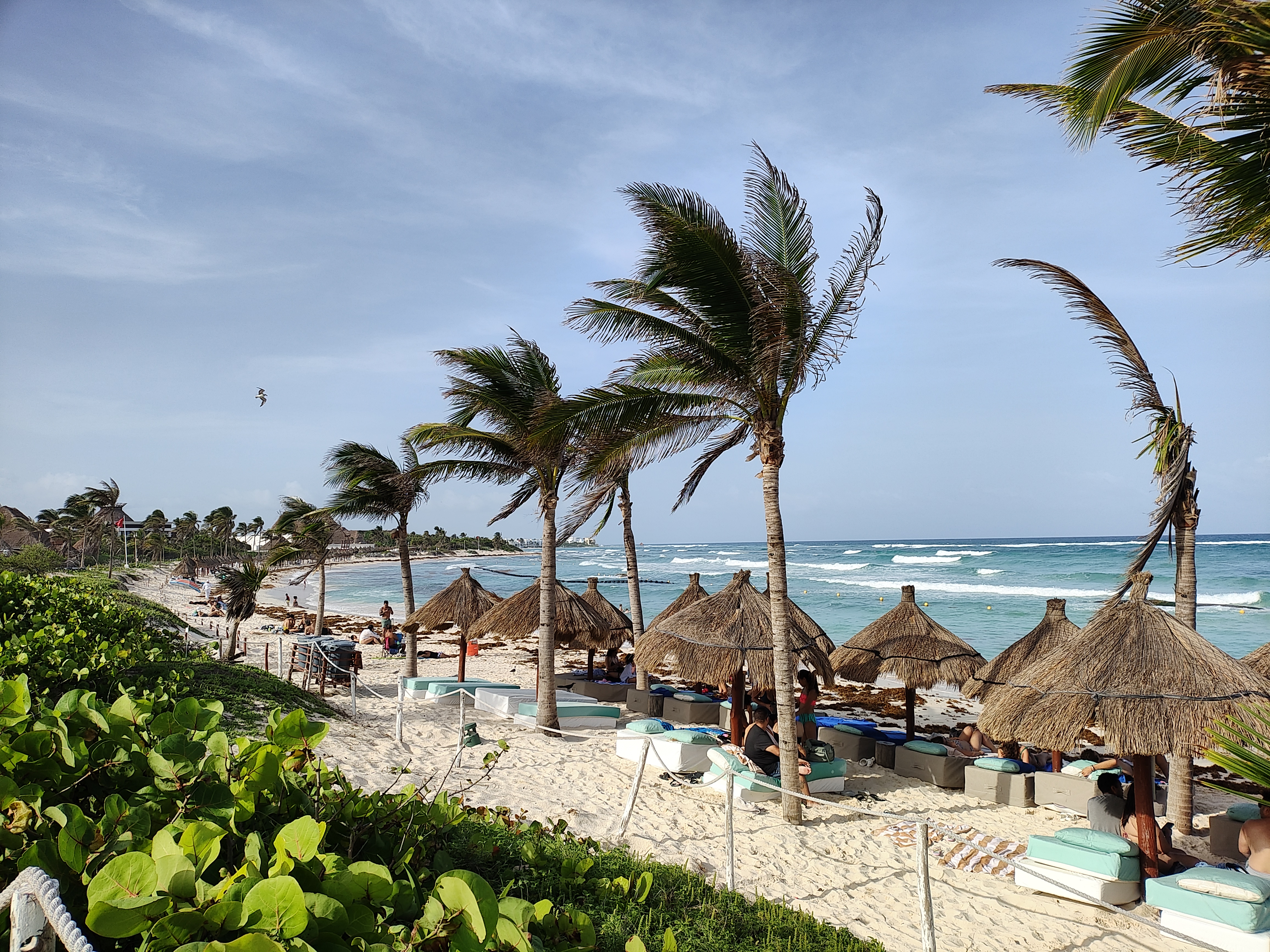 Lido Beach Club Restaurant image 2