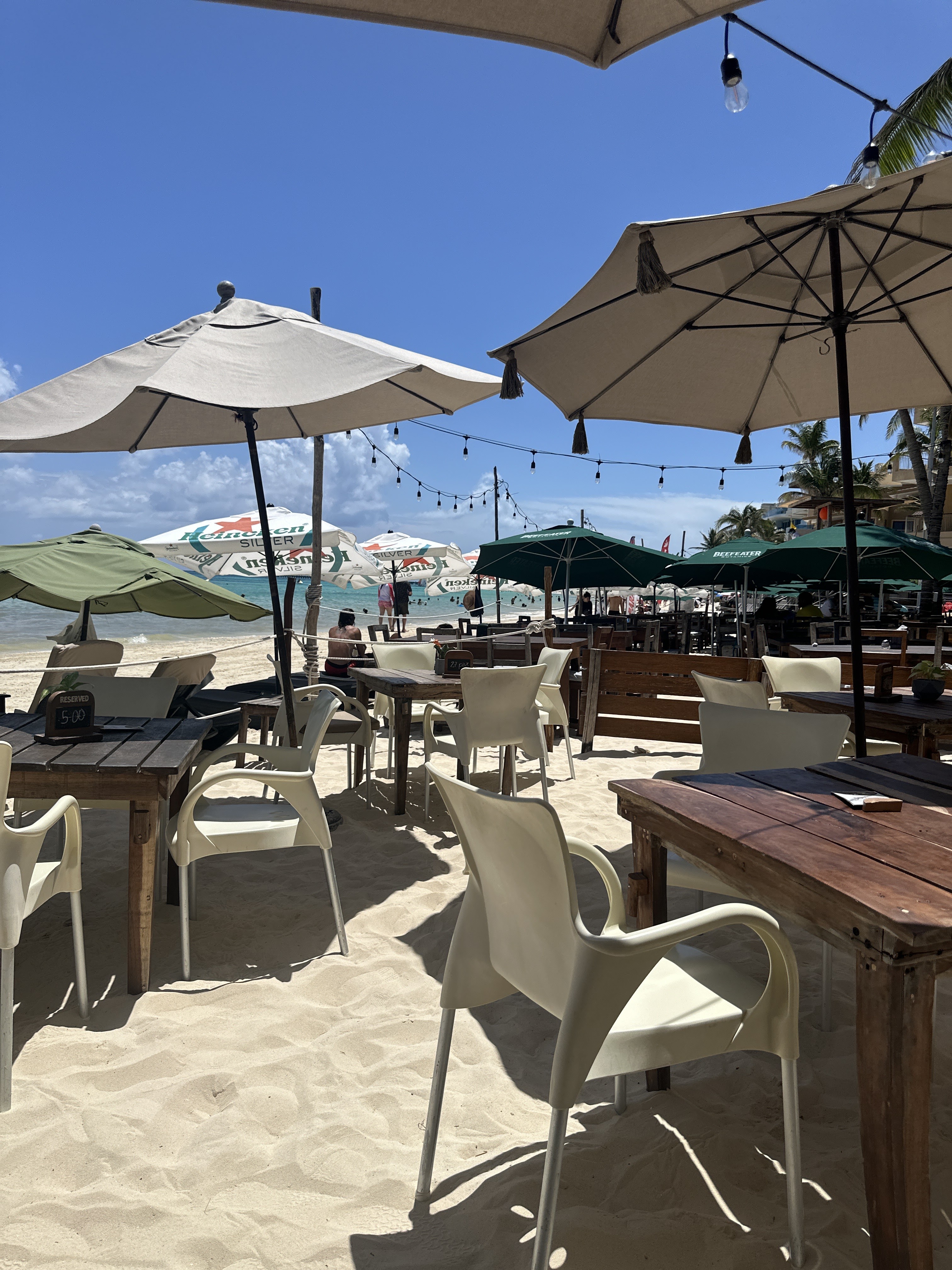 Lido Beach Club Restaurant image 3