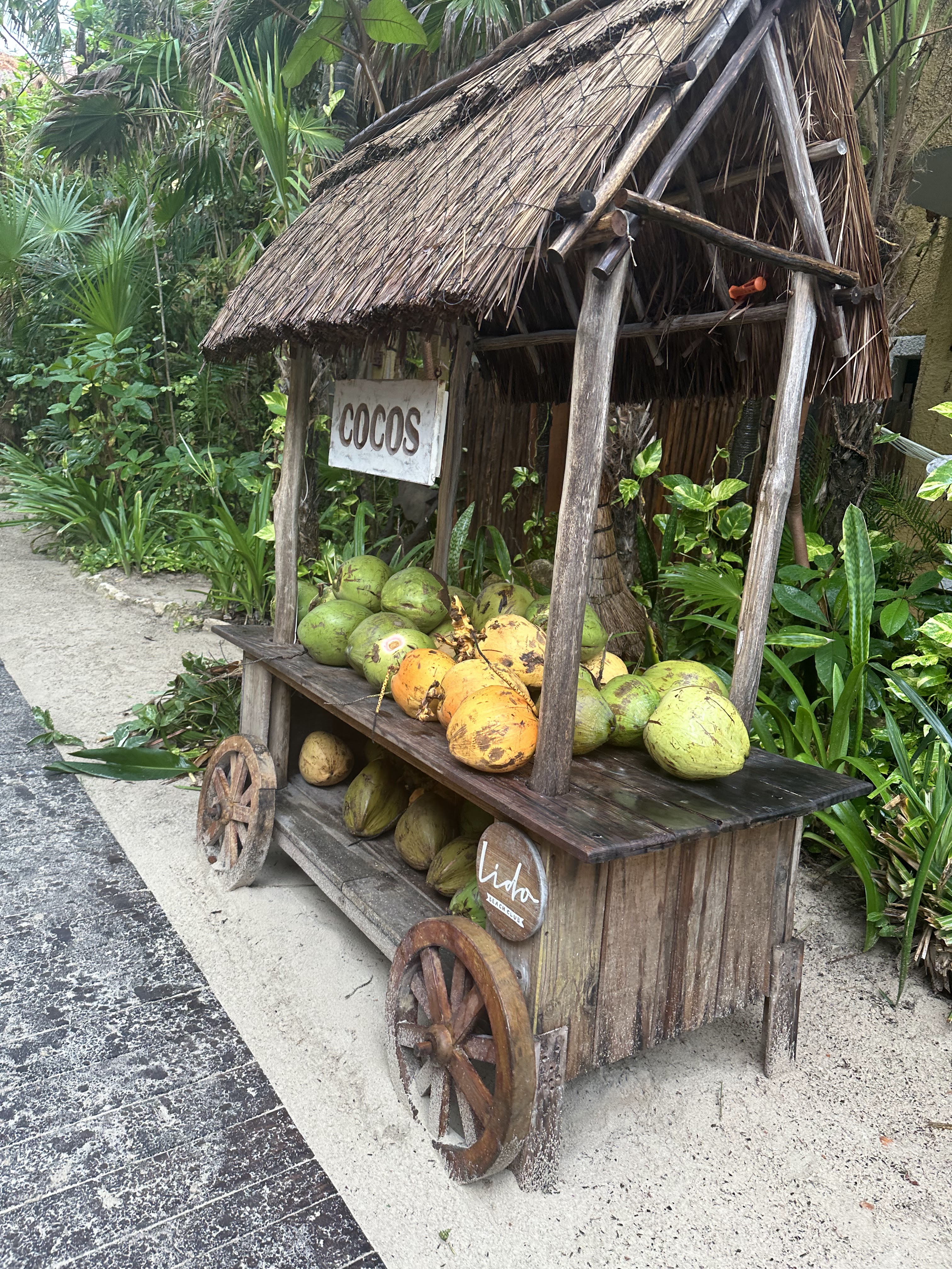 Lido Beach Club Restaurant image 6