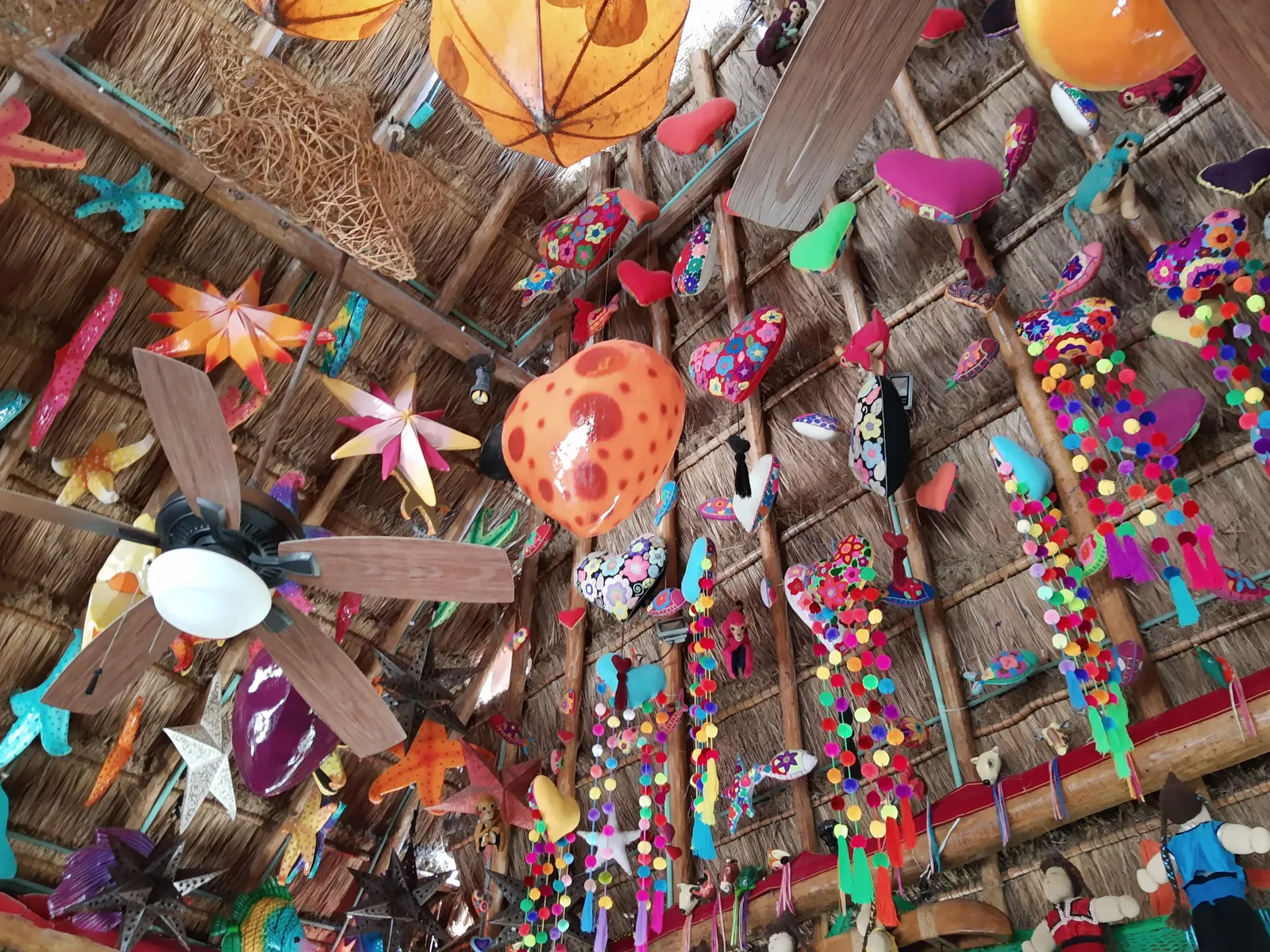 Tropical image 6