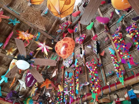 Tropical image 6