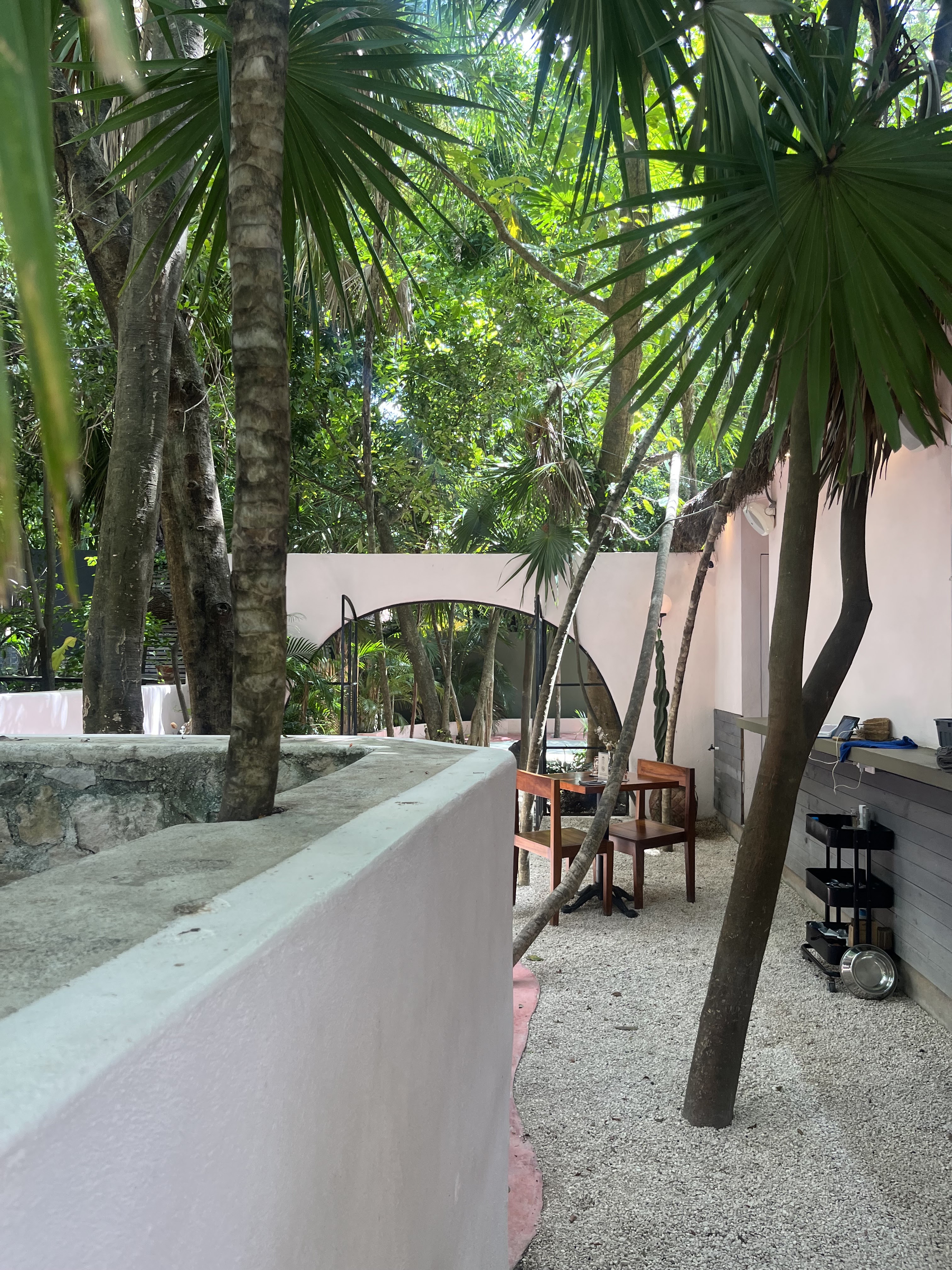 ARCANA restaurante image 10