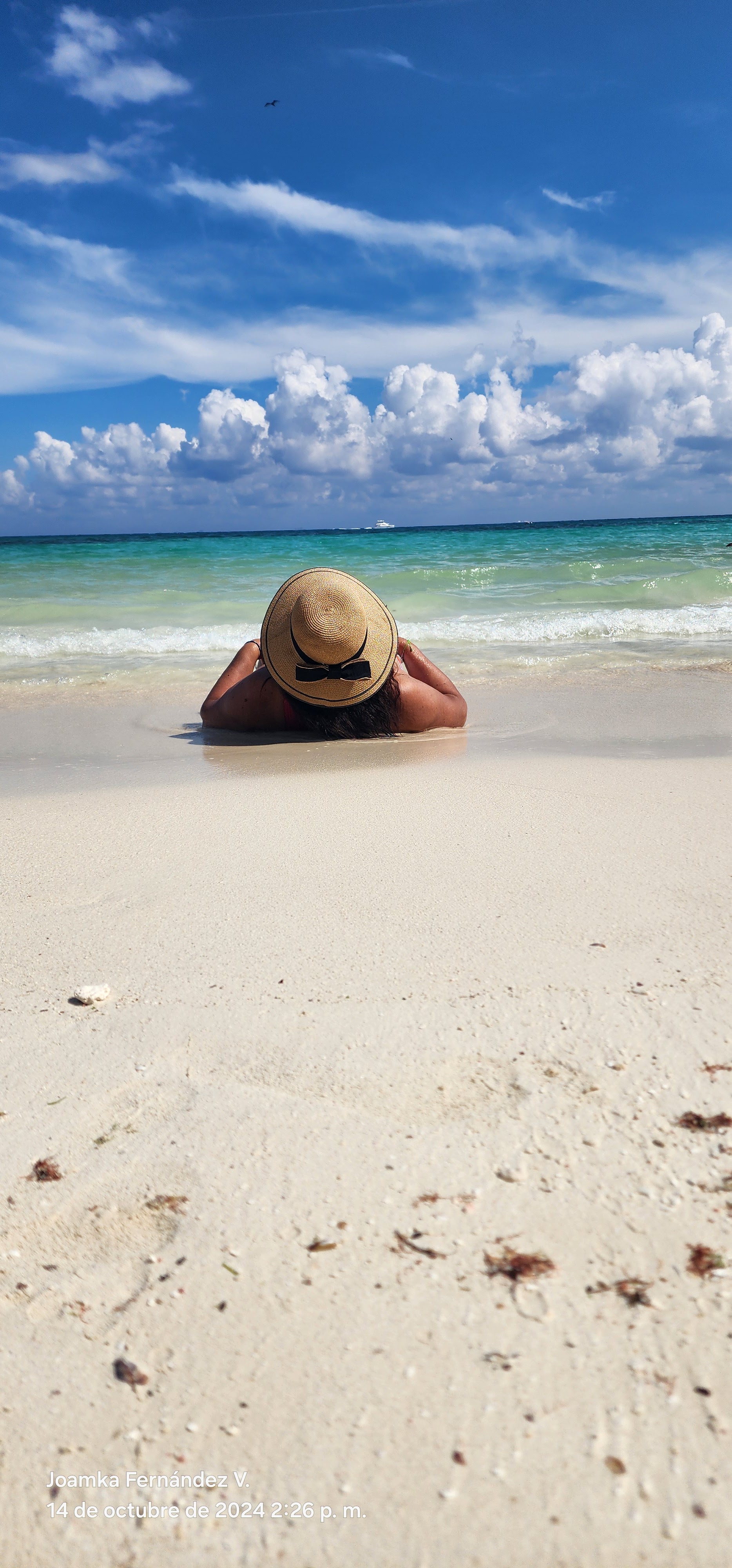 Restaurante Pelicano Inn image 6