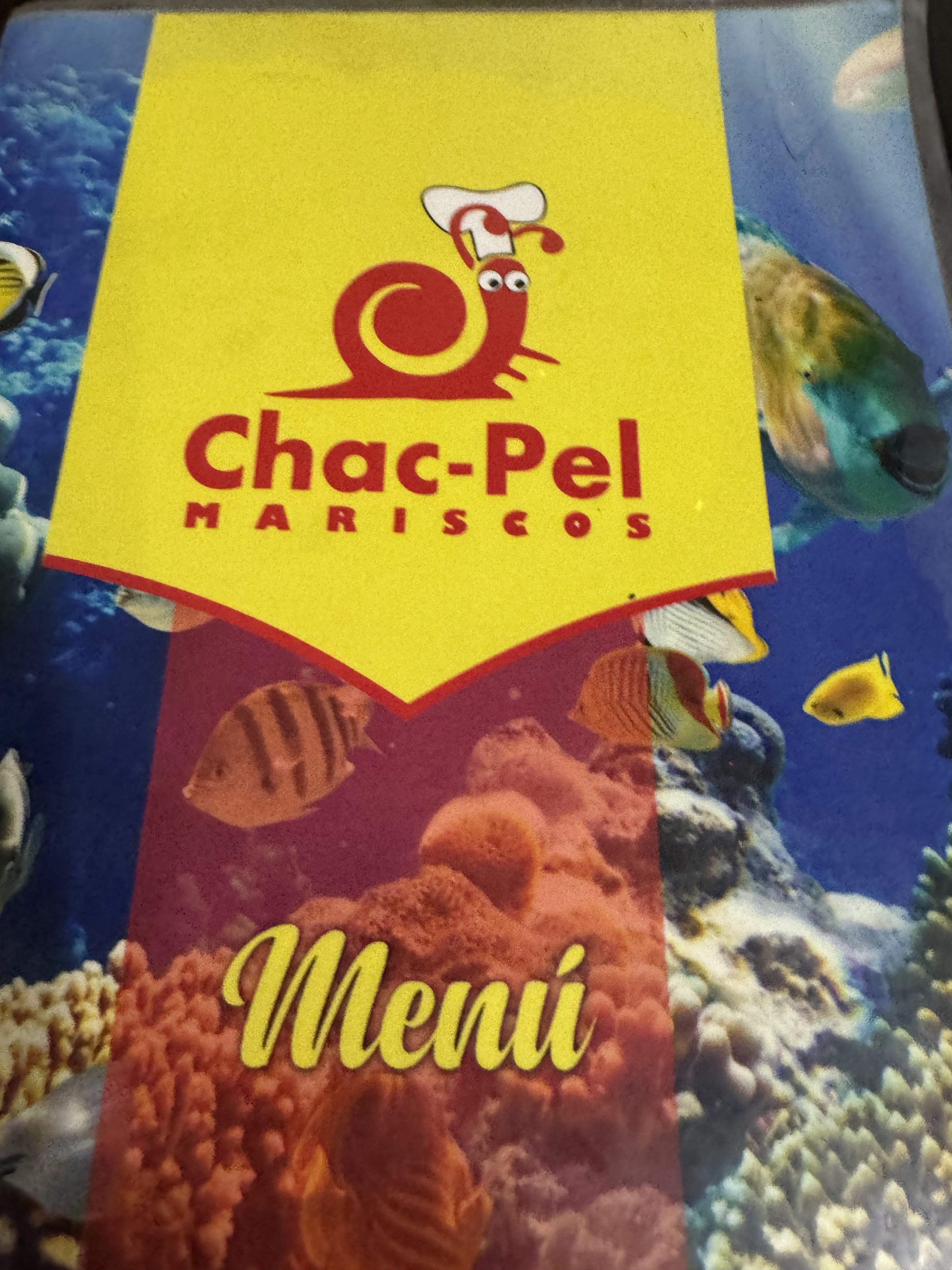 Chac Pel Tacos de mariscos image 10