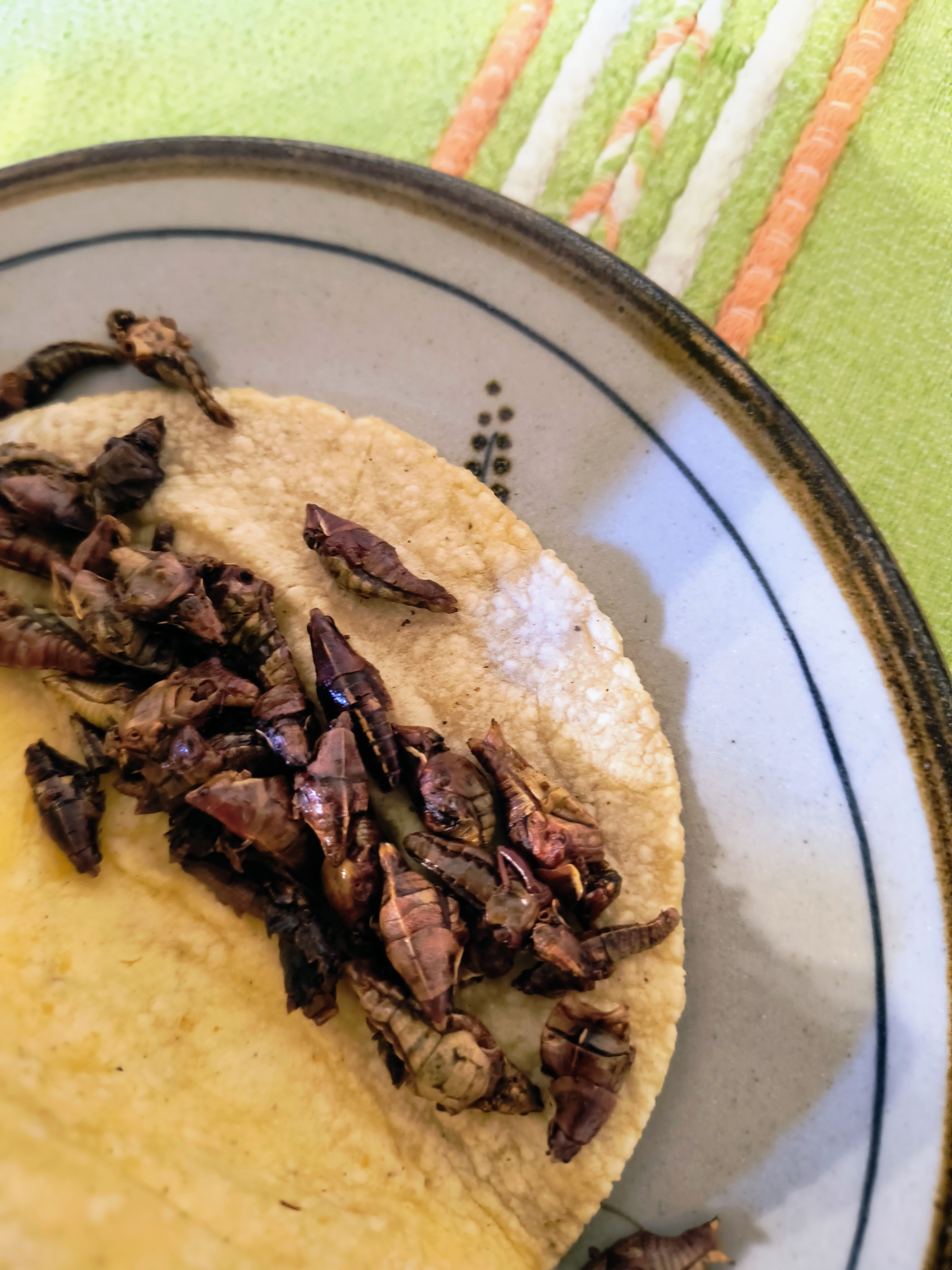 AH QUE NANISHE image 6