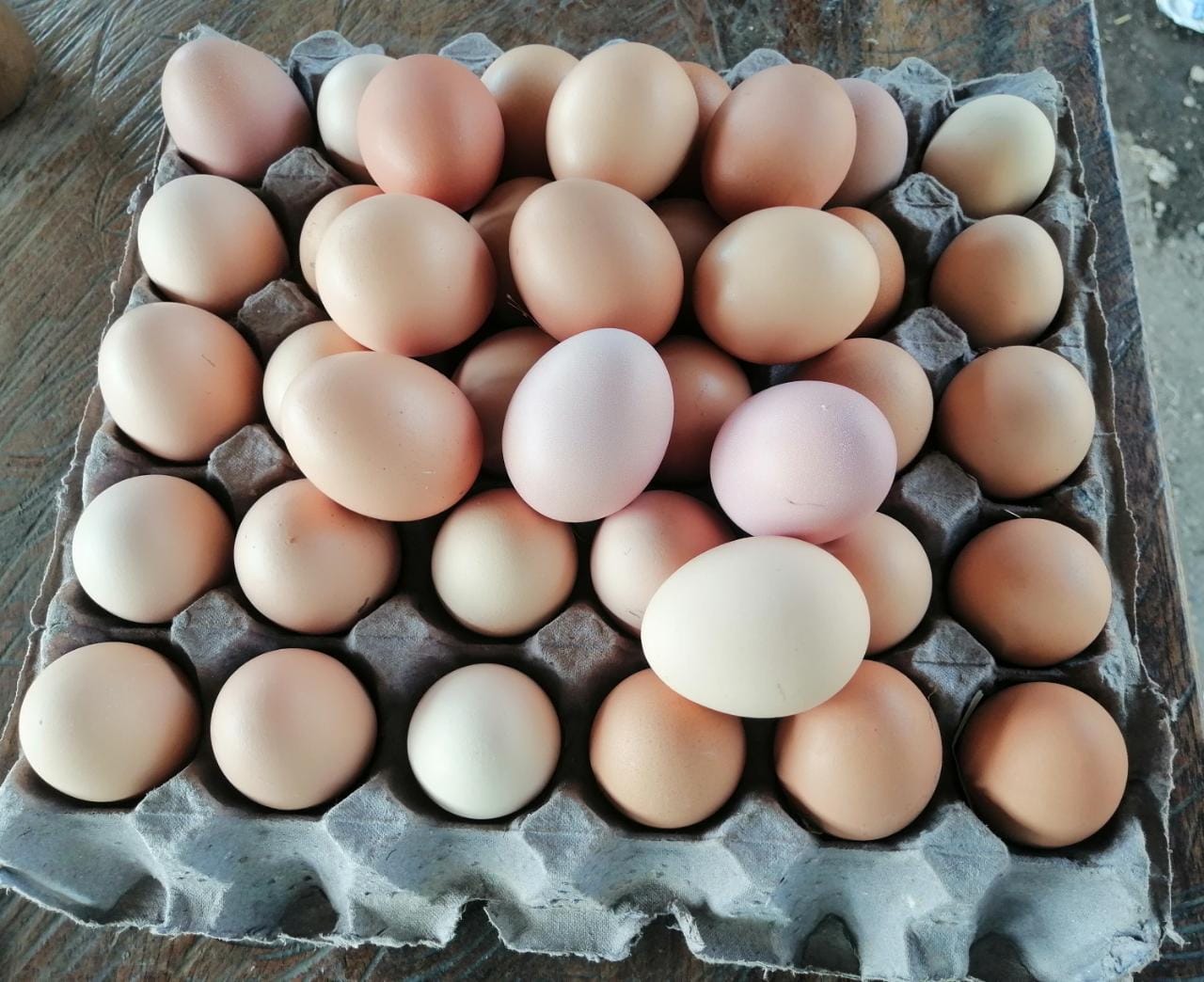 Pollos de Rancho image 7