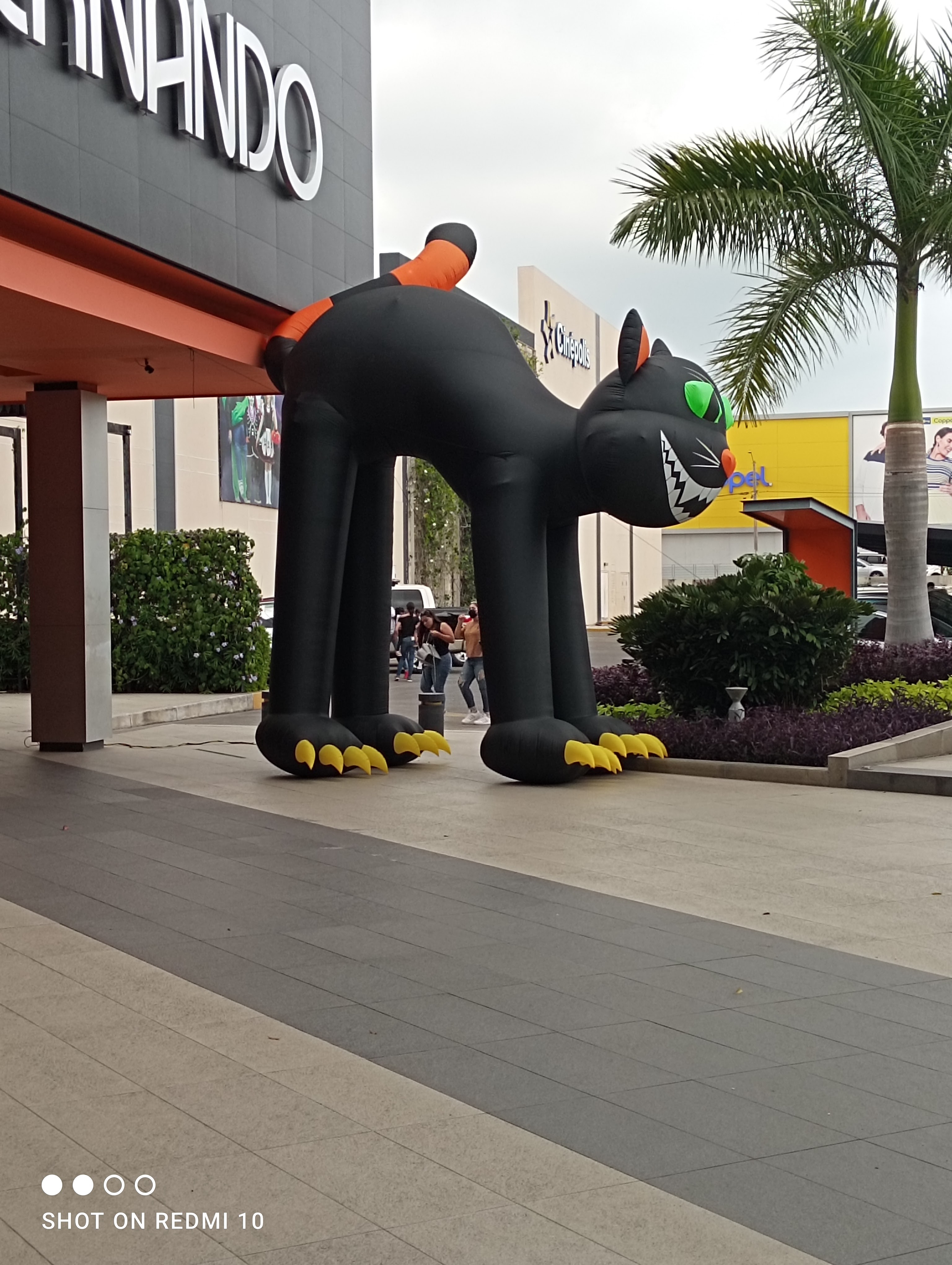 Carl's Jr. San Fernando image 9