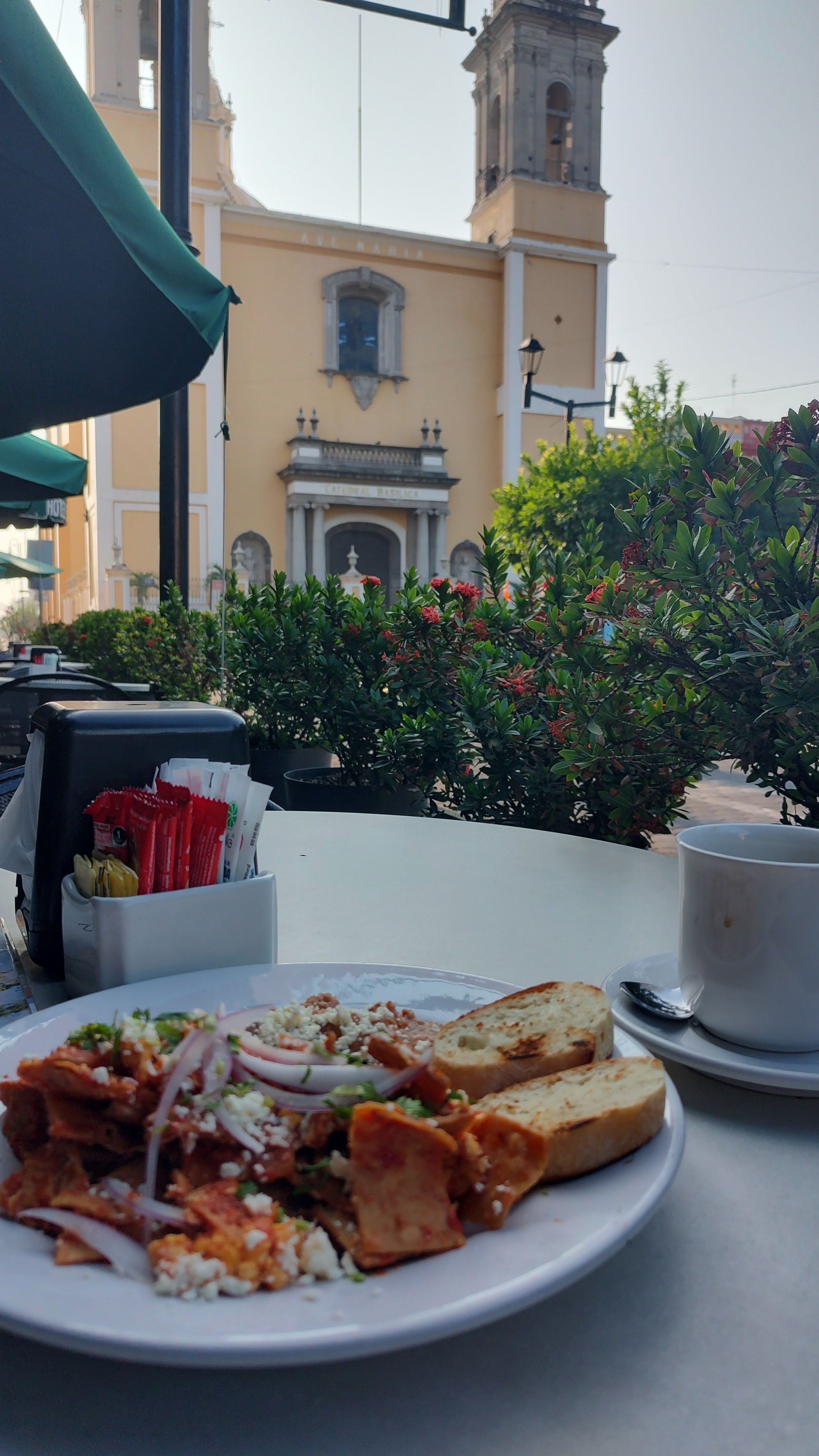 Restaurant Sabores Hotel Concierge Colima image 5