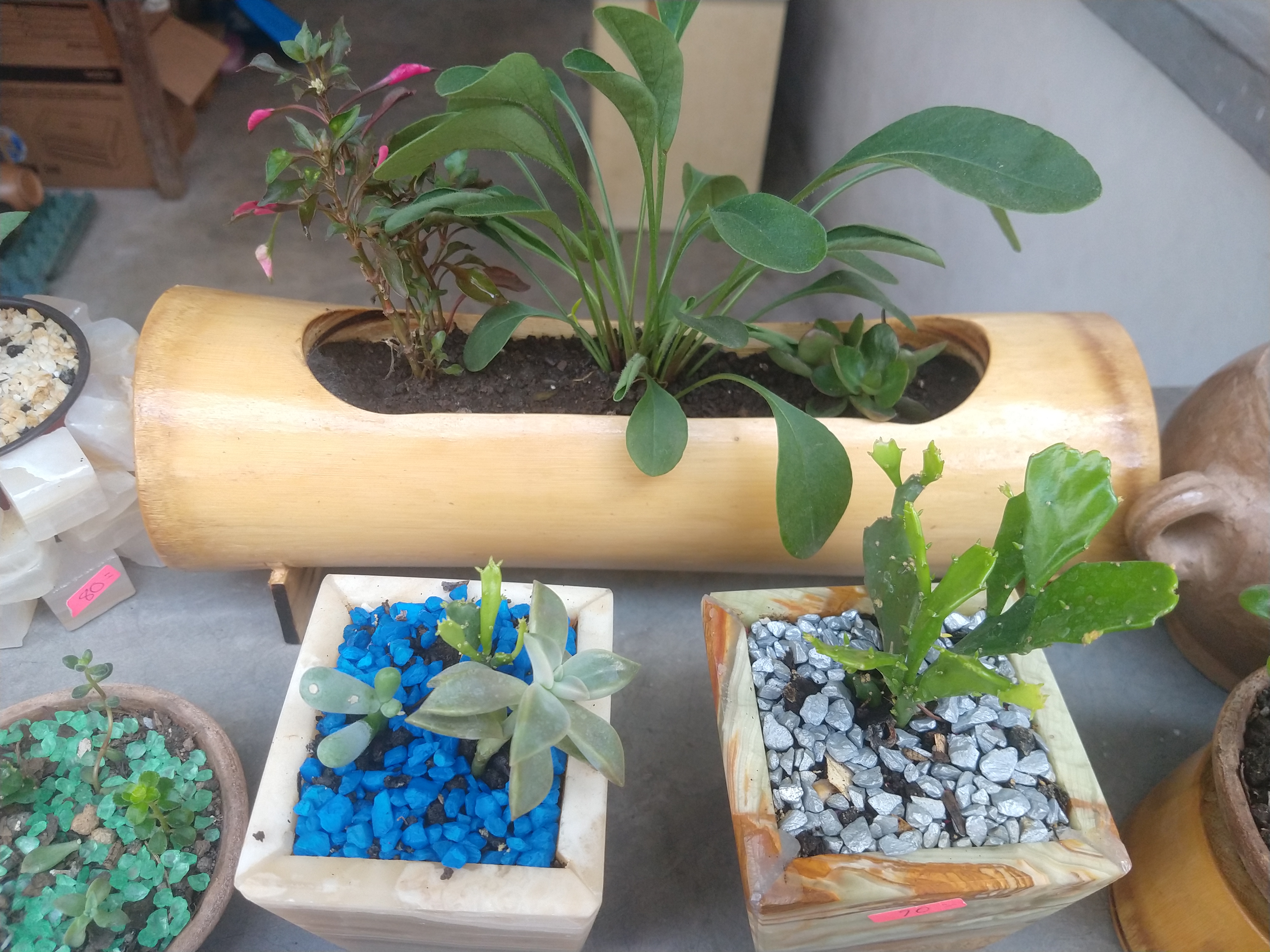 TACOS "MERCADITO" image 4