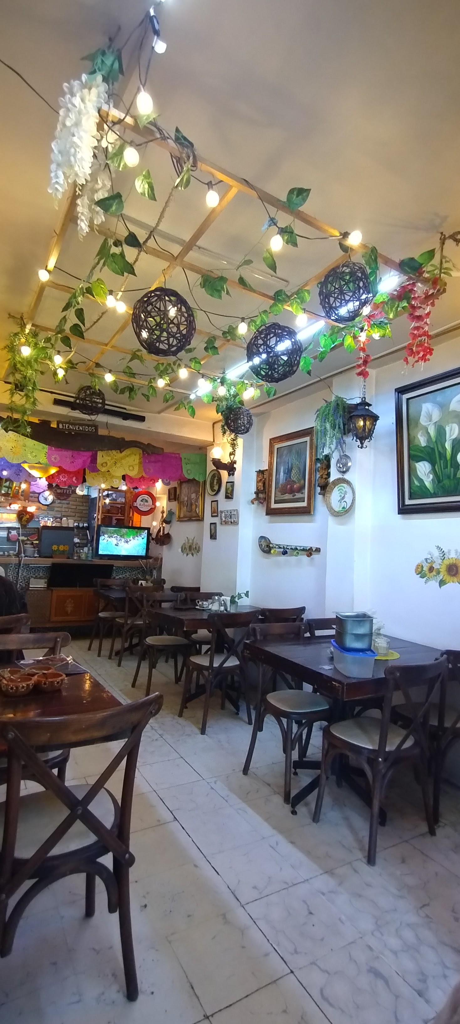 El Arbolito San Juan (Juarez) image 5