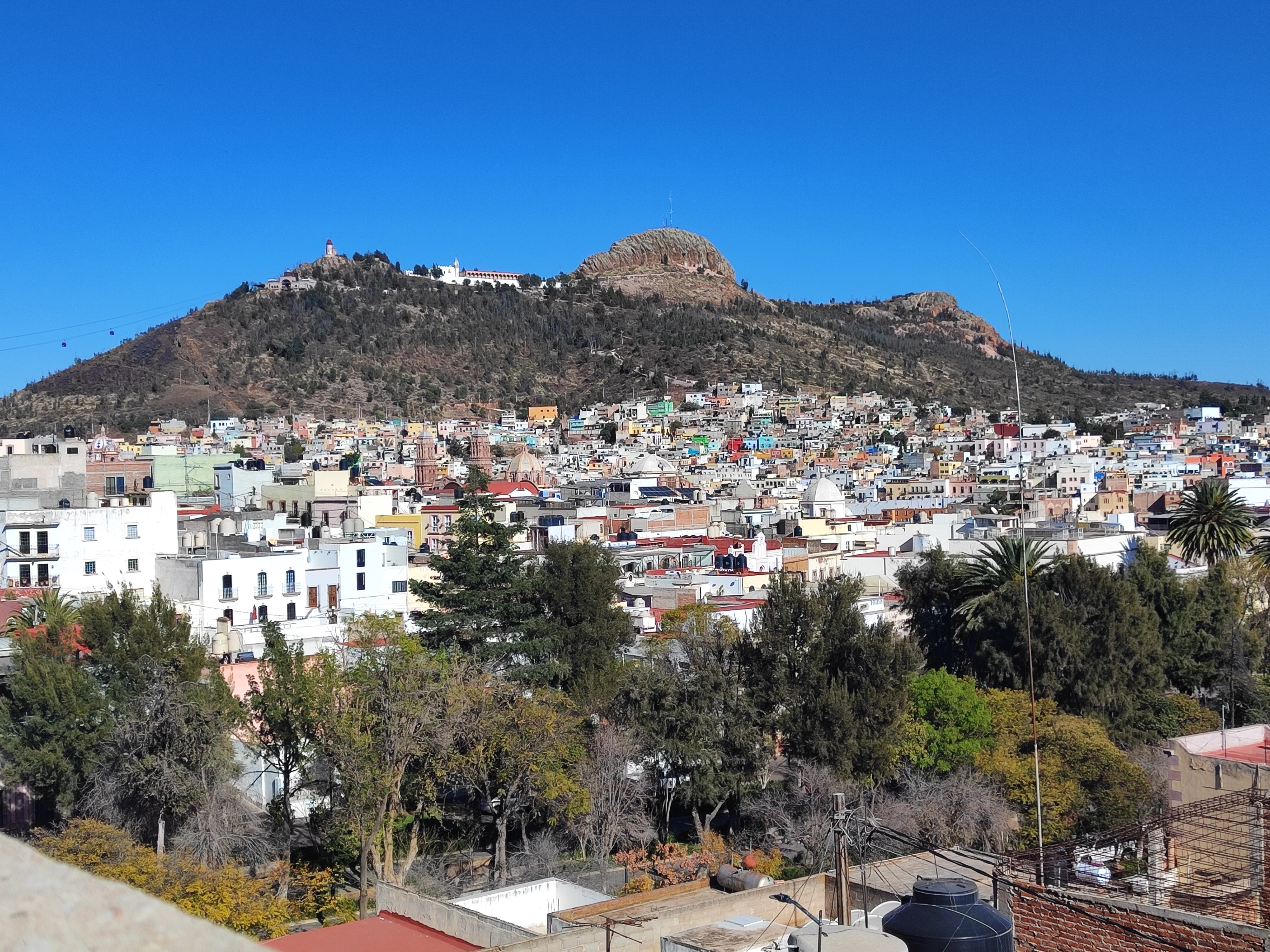 BLP La Palma (Av. Torreón) image 9