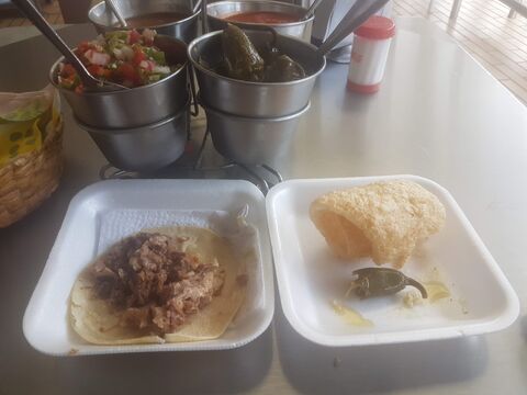 CARNITAS PALOMINO image 2