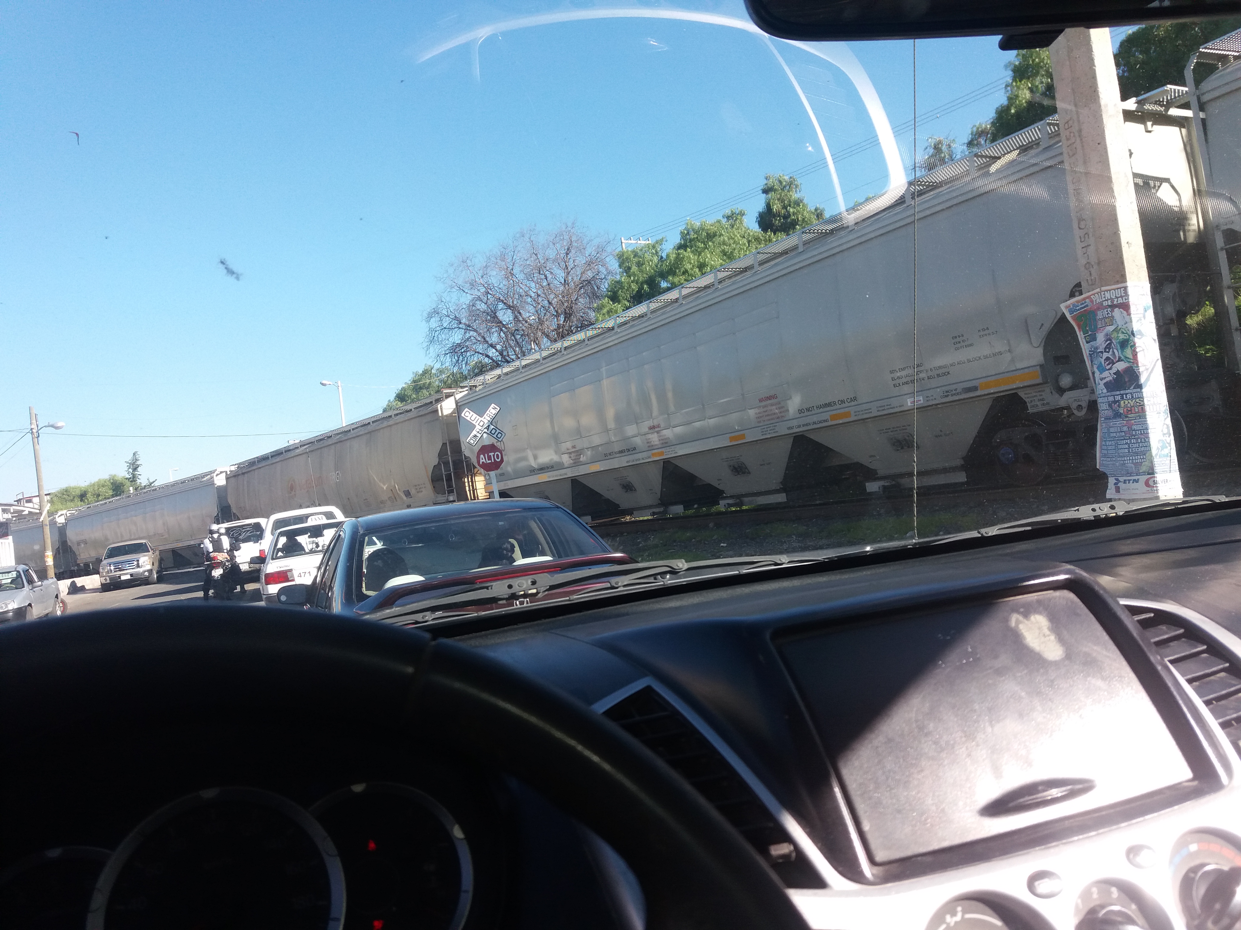 CARNITAS PALOMINO image 3