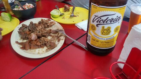 CARNITAS PALOMINO image 7
