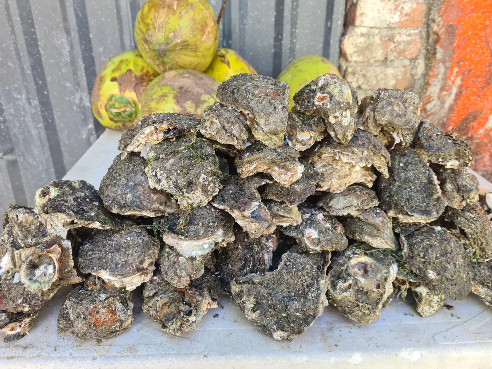 Mariscos y botanas La Piyilla image 7