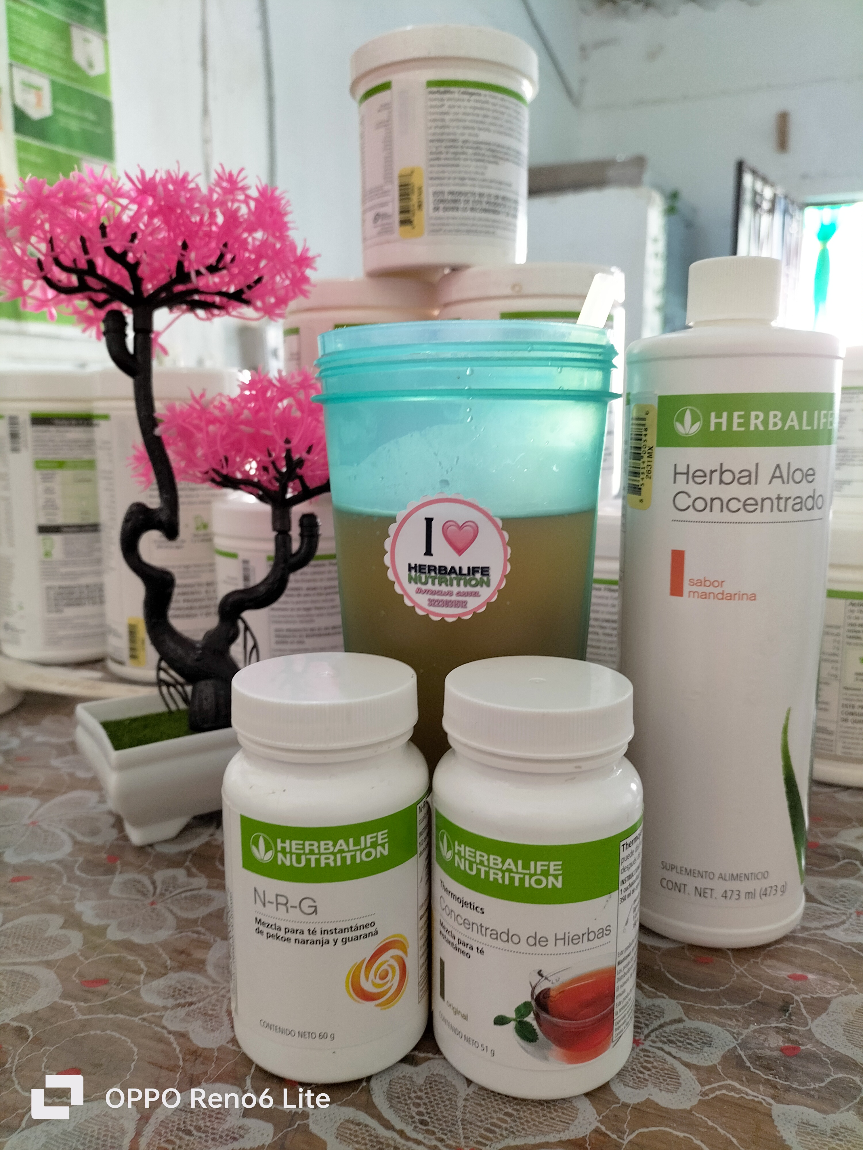 Club Herbalife grisel image 2