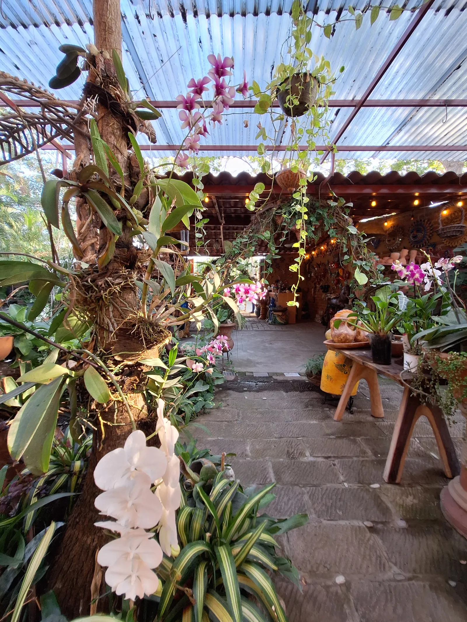 Jardin Secreto Tapachula image 5