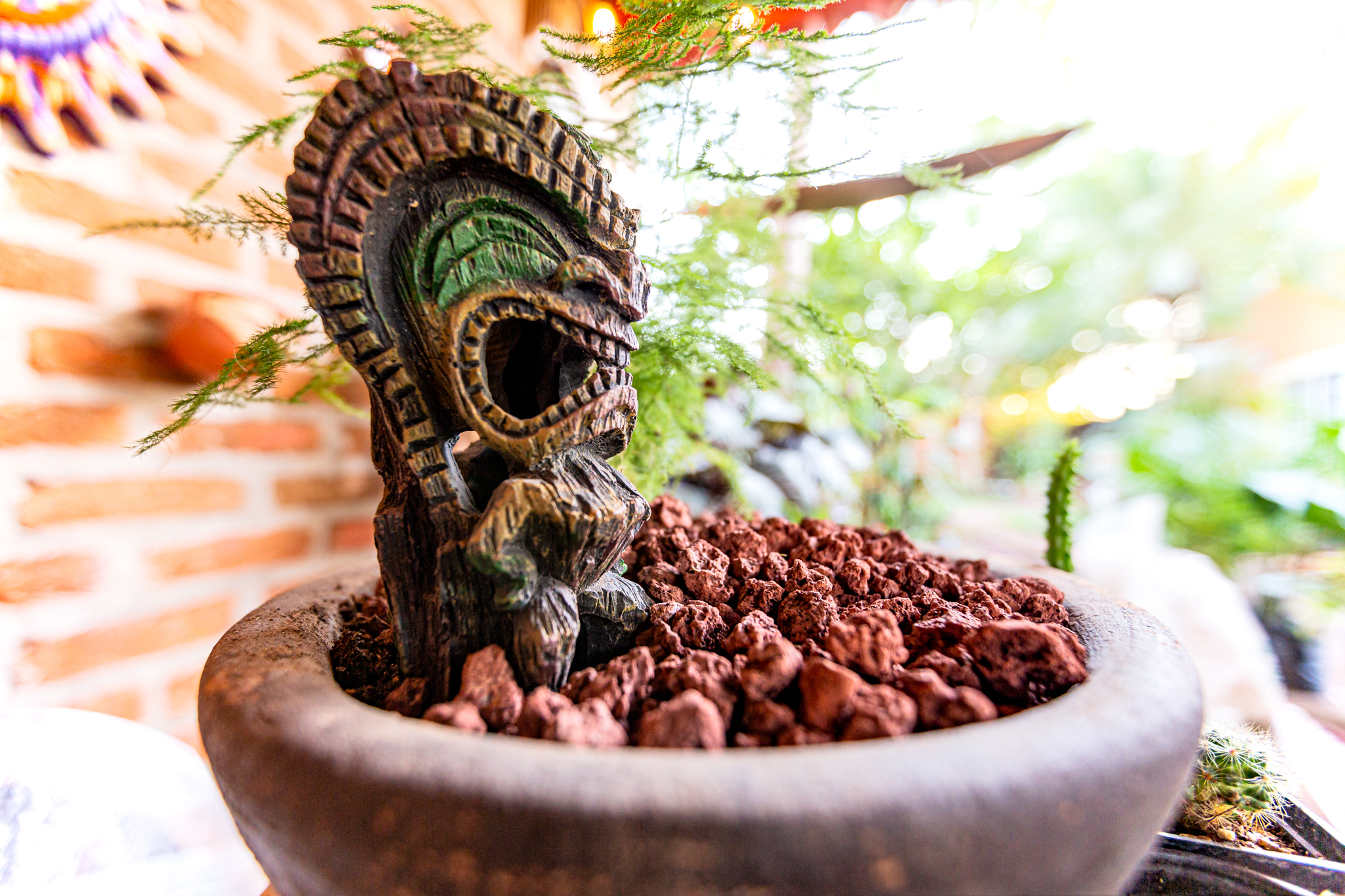 Jardin Secreto Tapachula image 7