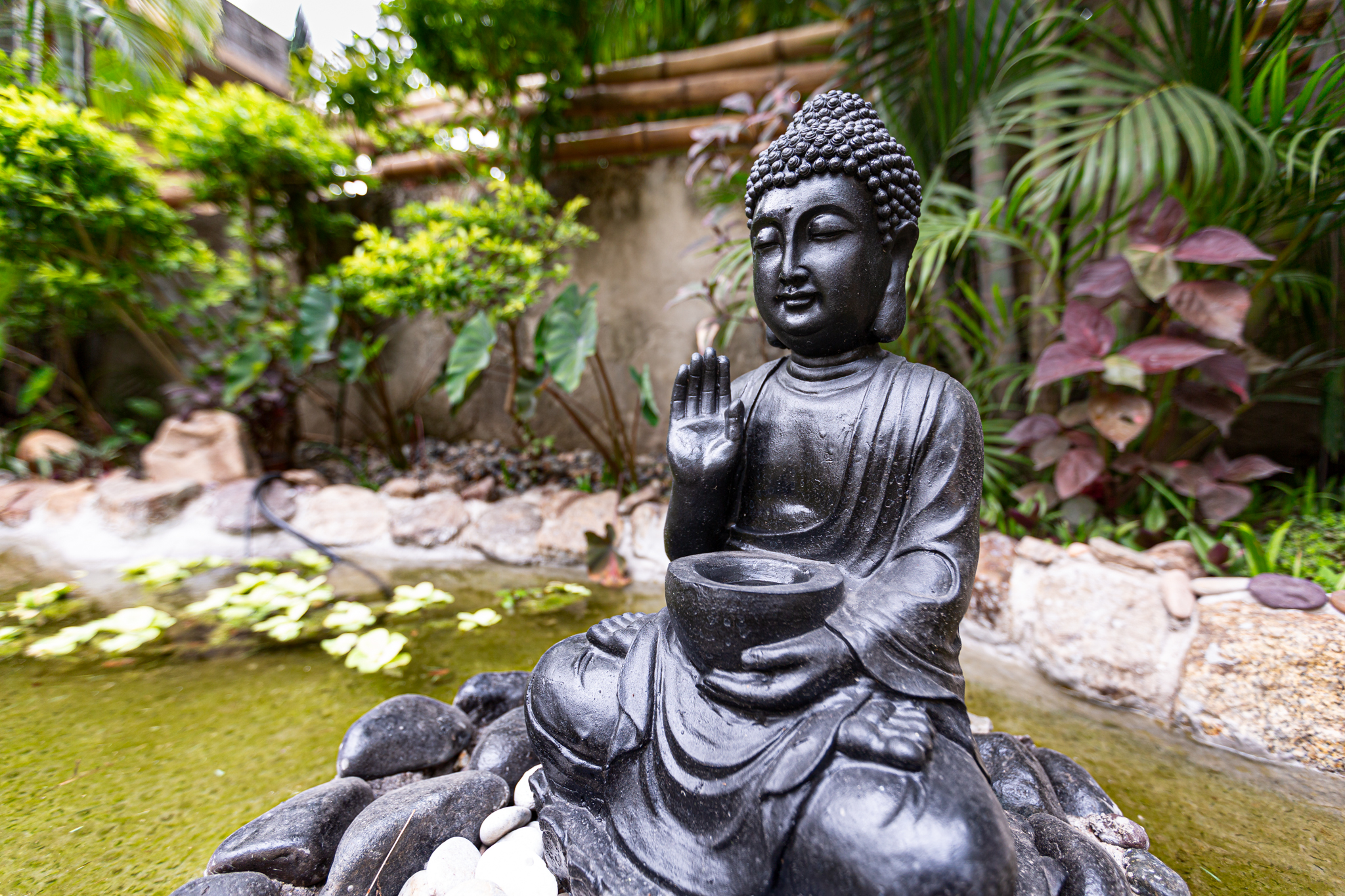 Jardin Secreto Tapachula image 8